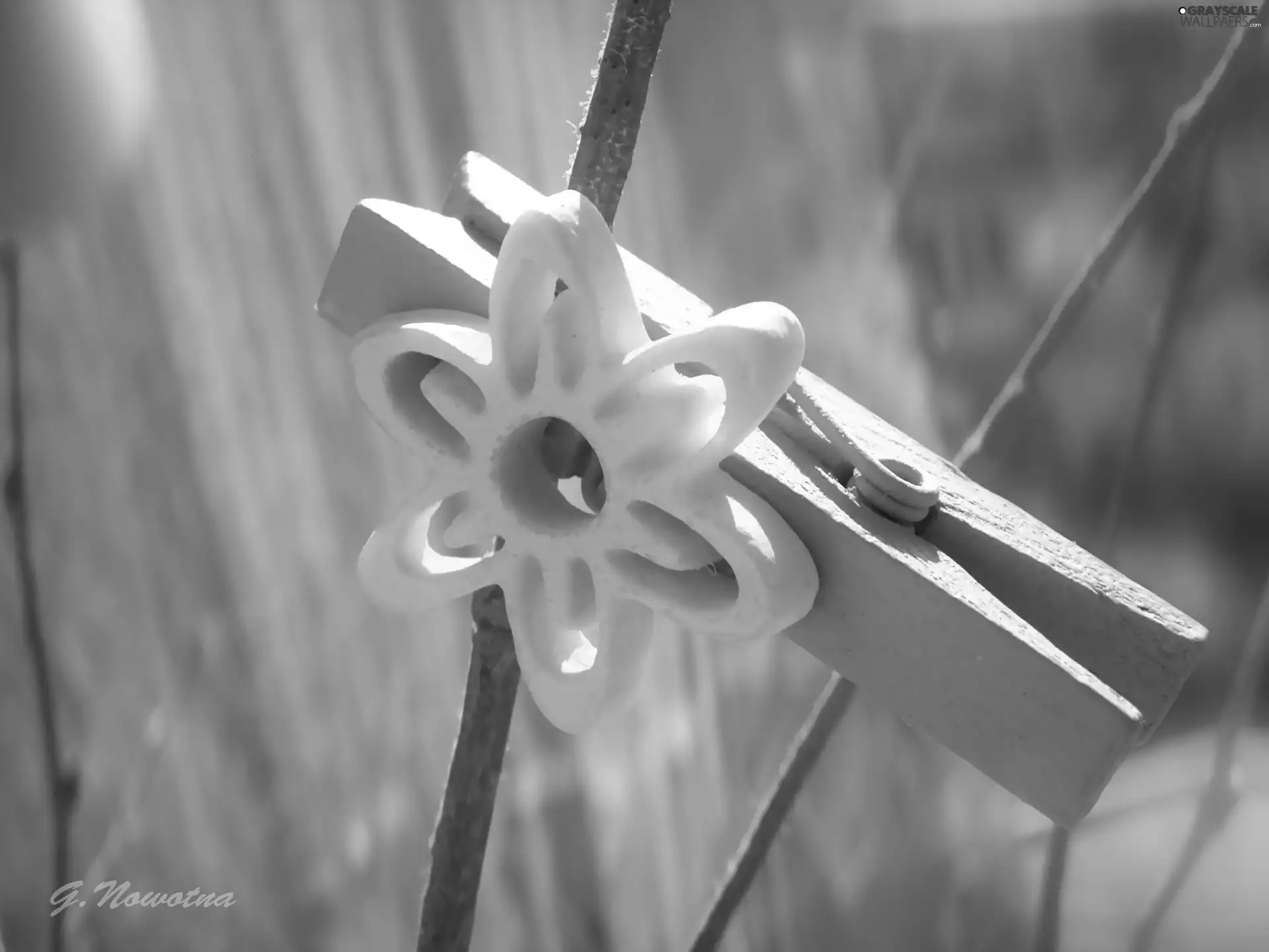 Easter, Flower, clip, decoration