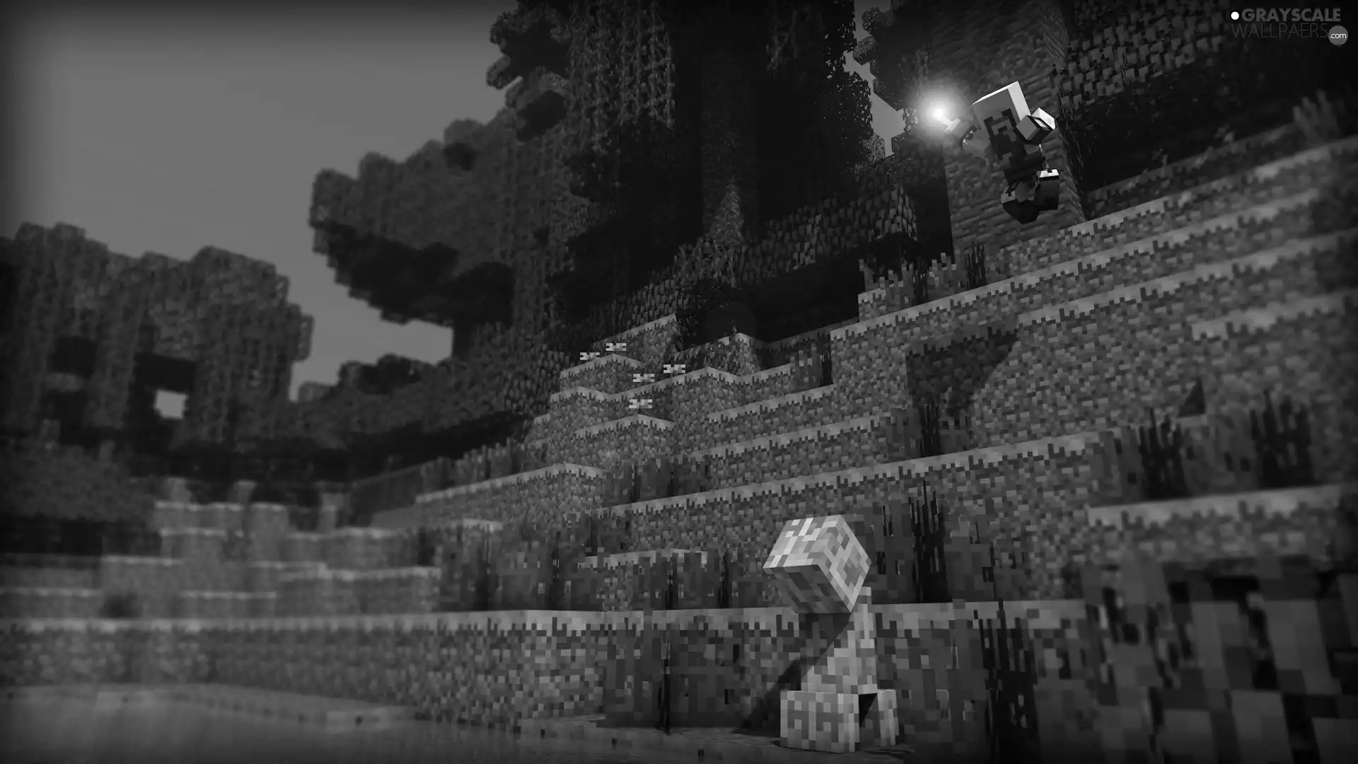 Minecraft, Clipper