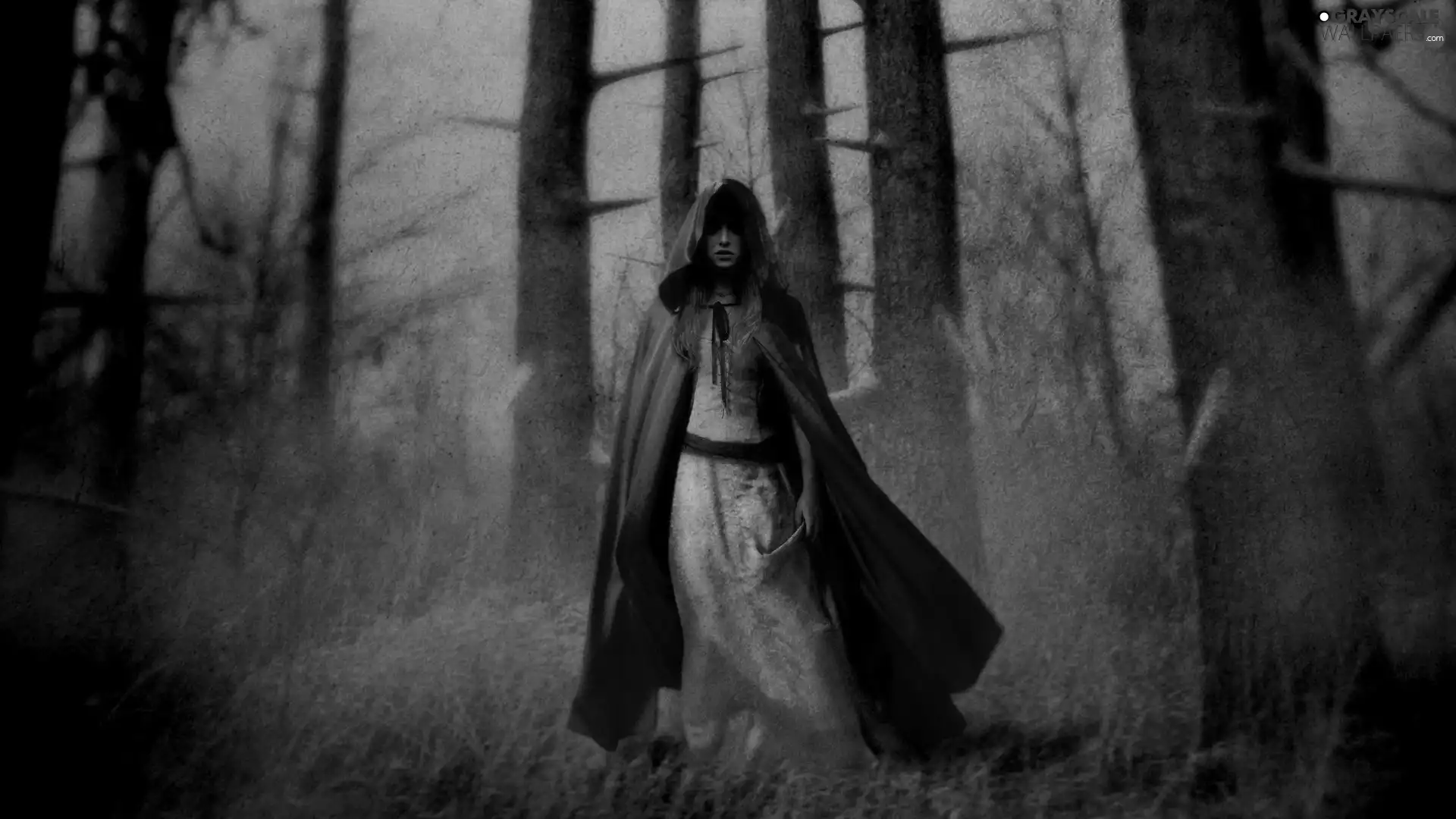 Women, Red, Cloak, forest