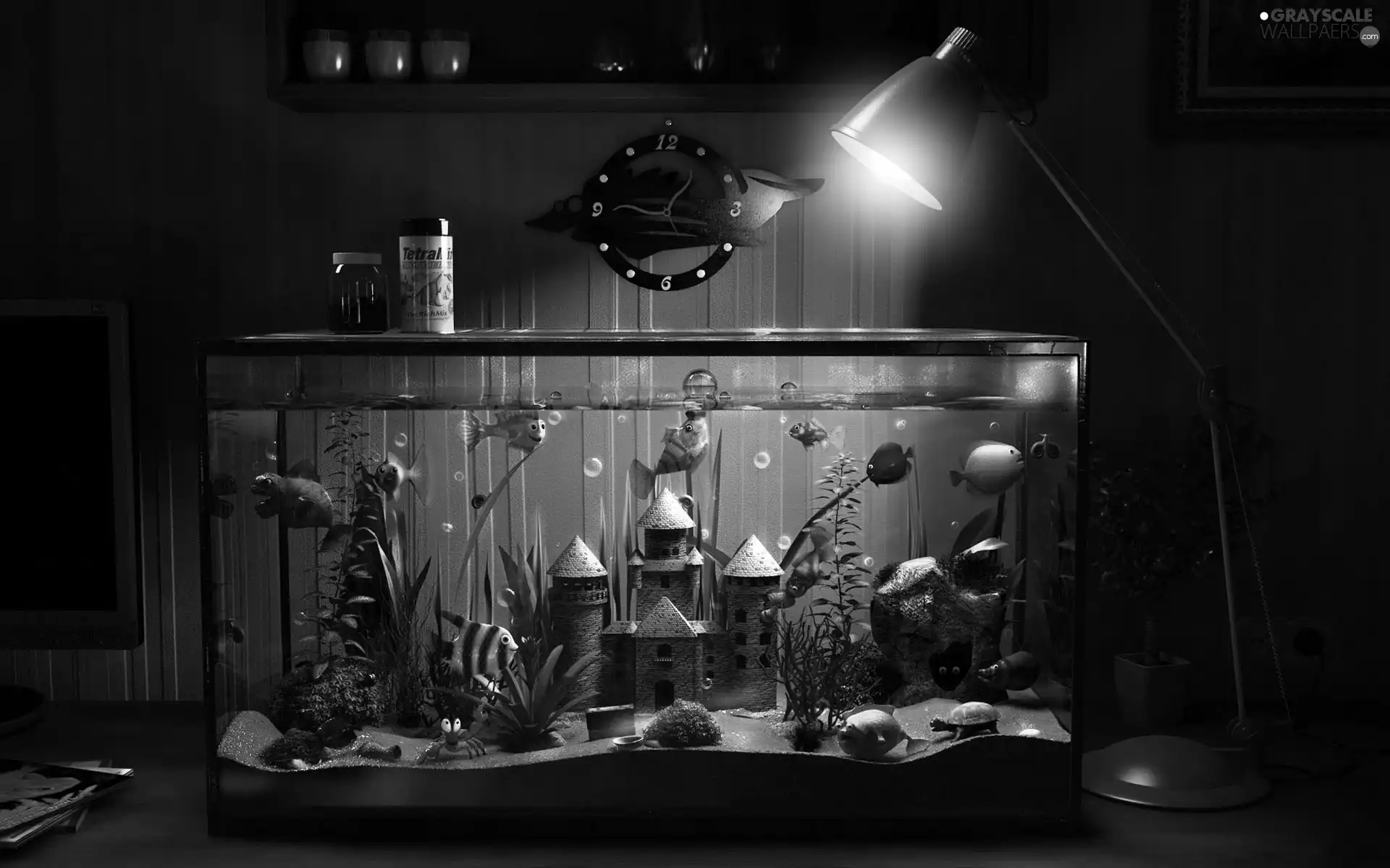 Clock, Lamp, cheerful, fishes, aquarium