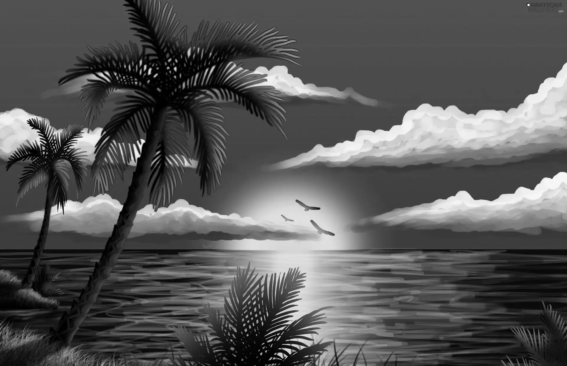 Palms, west, graphics, sun, sea, clouds, 3D