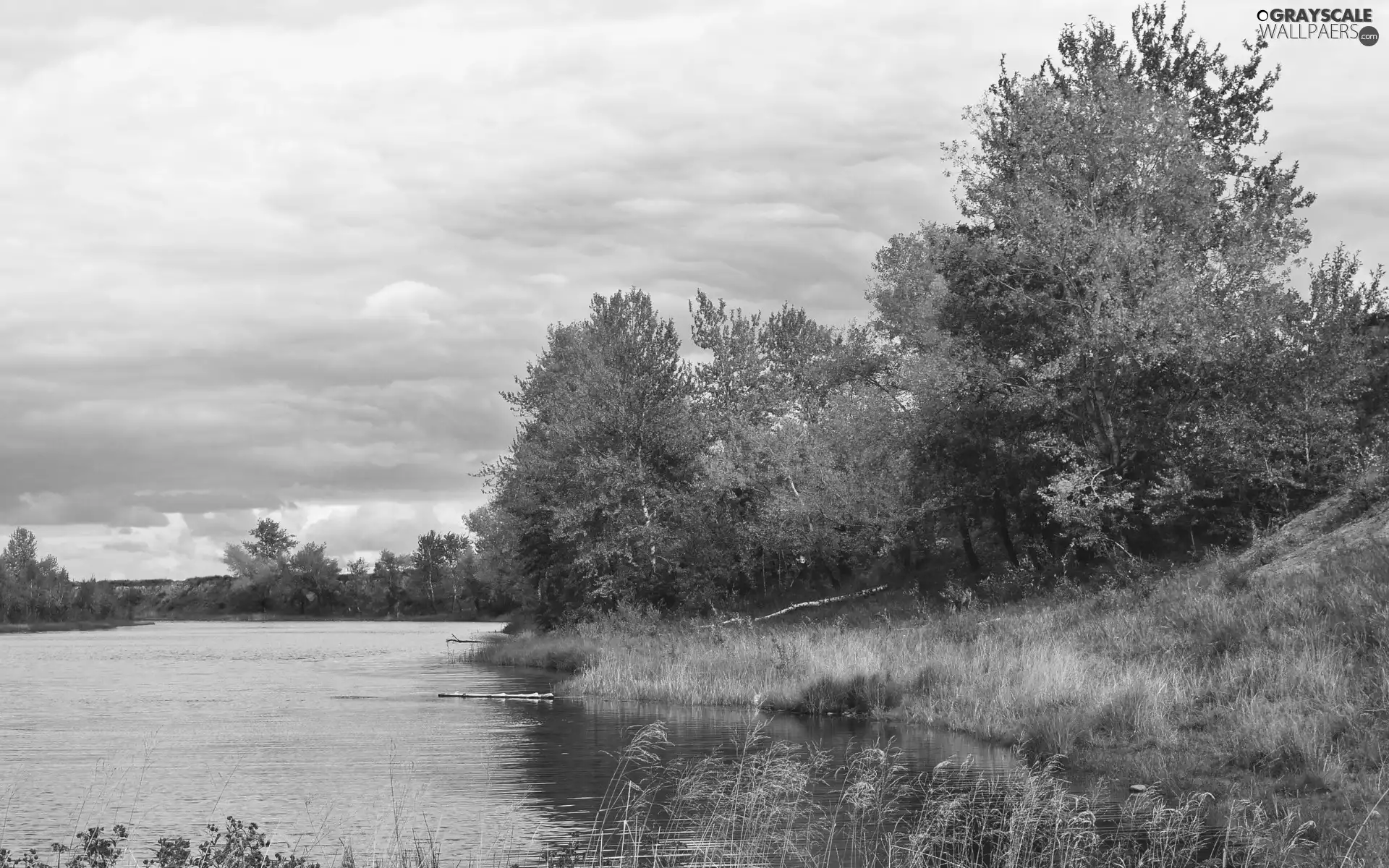 viewes, River, clouds, autumn, grass, trees