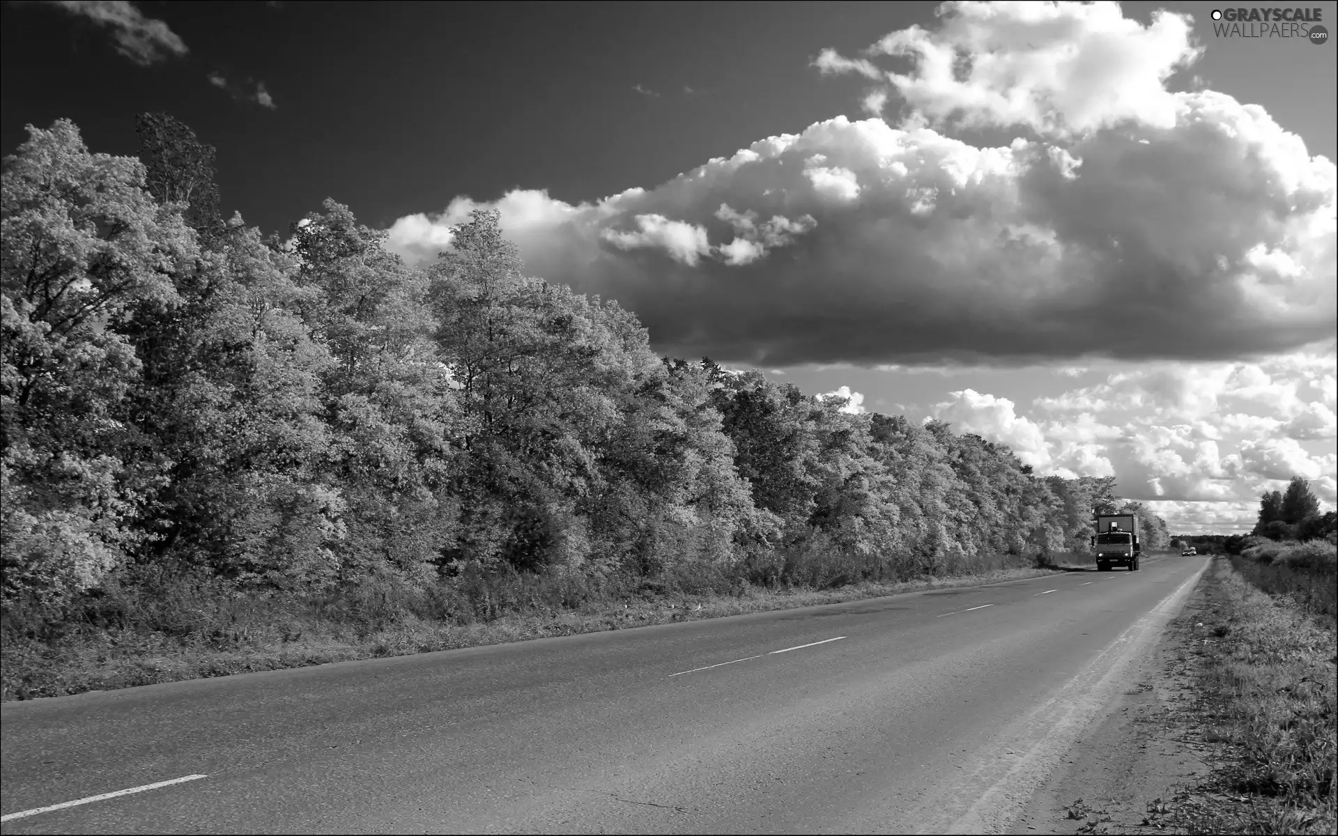 clouds, autumn, trees, viewes, Way