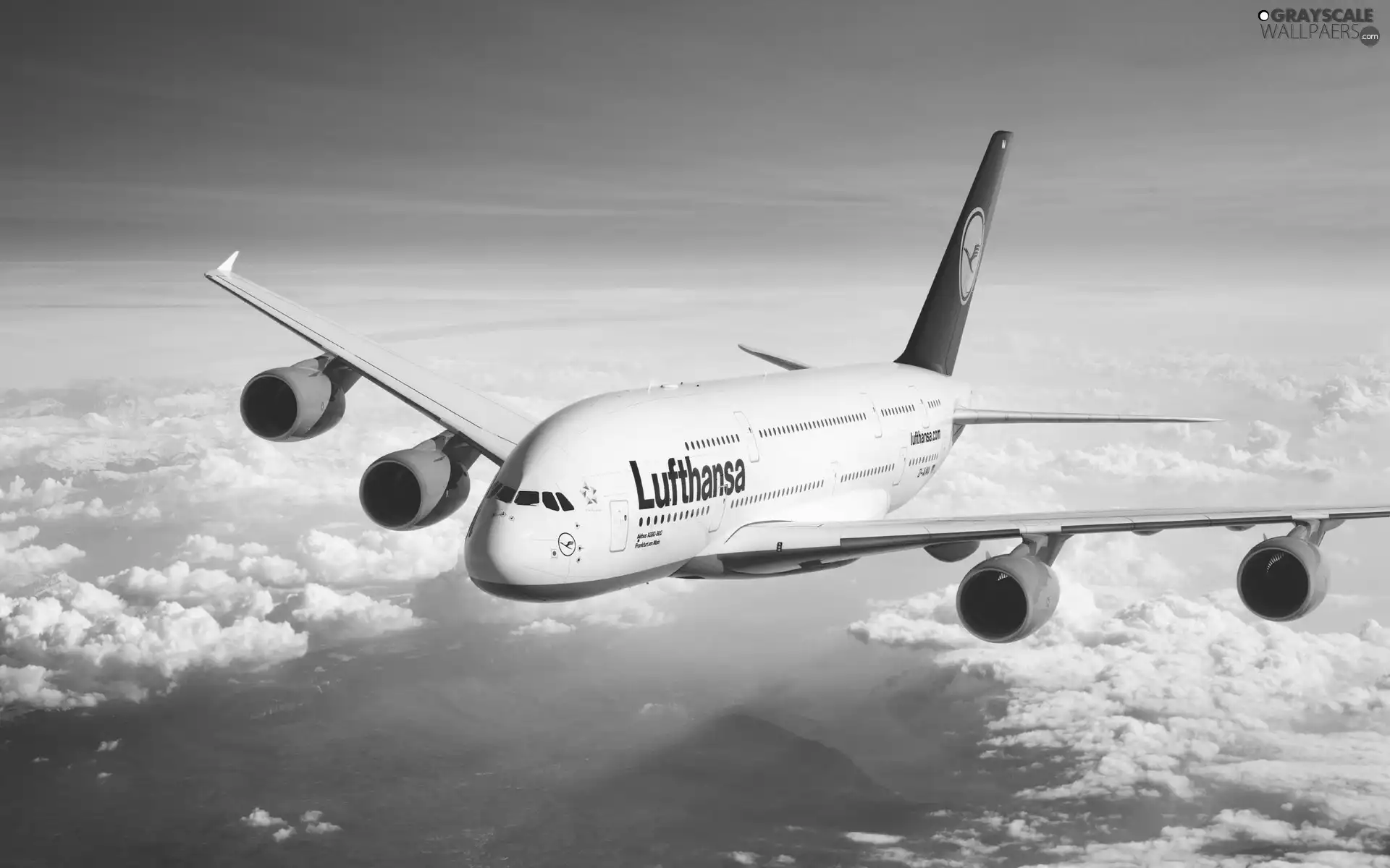 plane, clouds