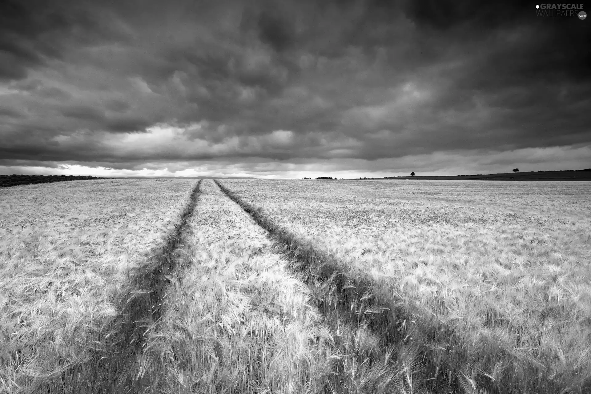 Field, clouds