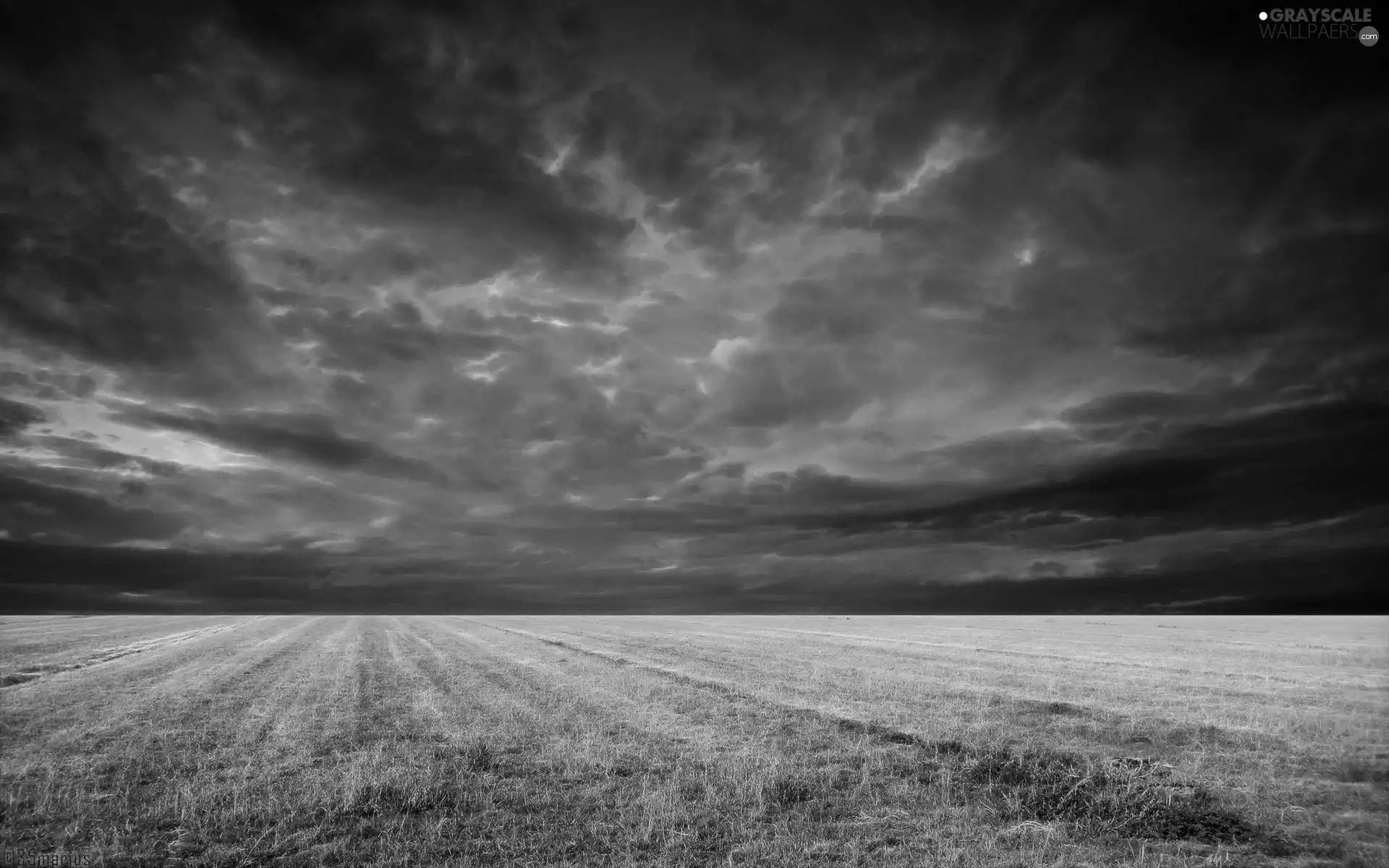 Field, clouds