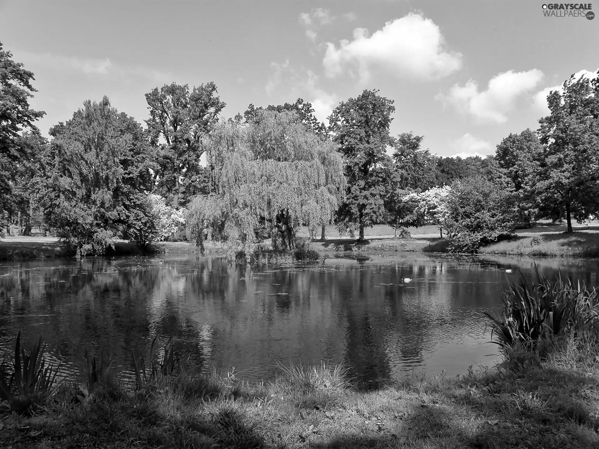 clouds, Przebijające, luminosity, ligh, flash, Pond - car, Park, sun