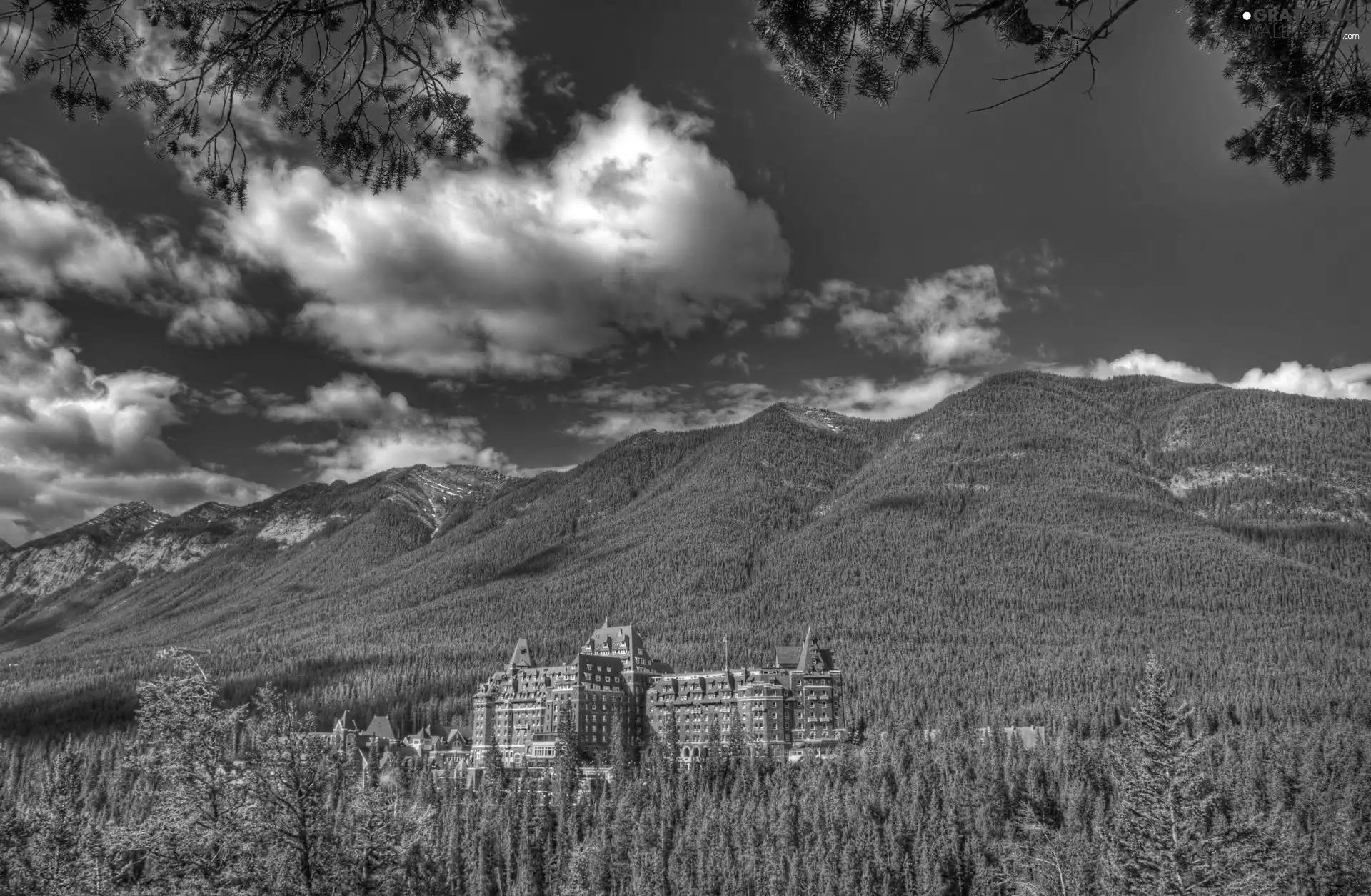 forest, Hotel hall, clouds, Mountains