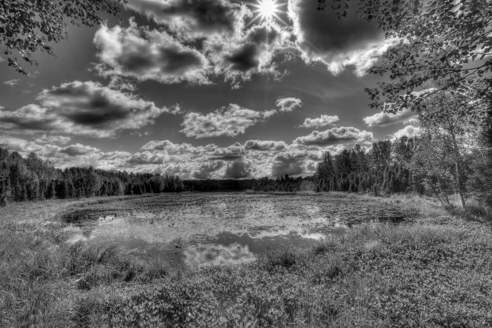 clouds, lake, forest