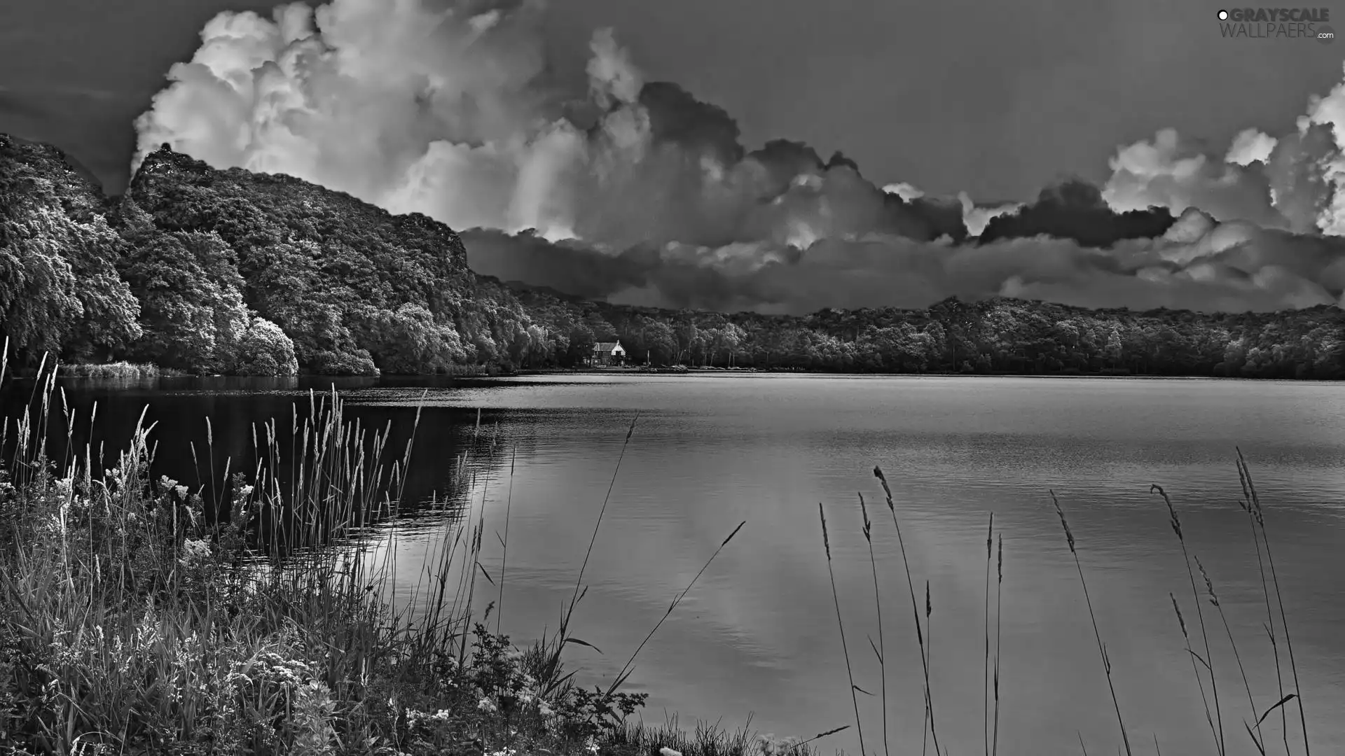 clouds, lake, forest