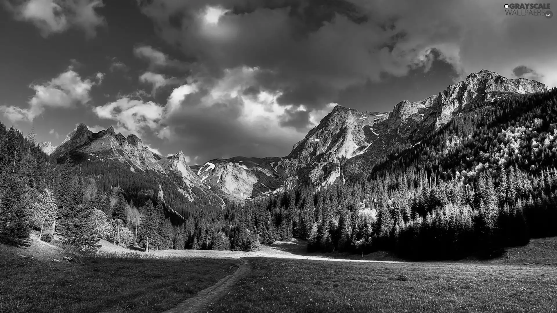 clouds, Mountains, forest