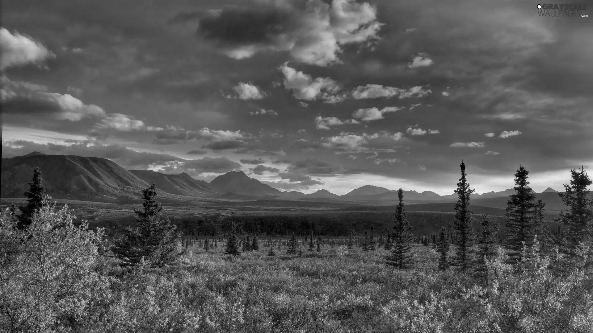 clouds, Mountains, forest