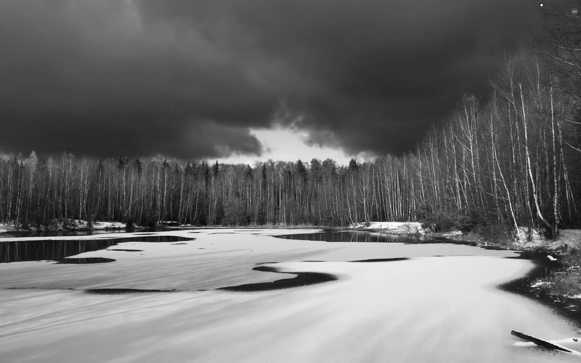 forest, winter, clouds, lake
