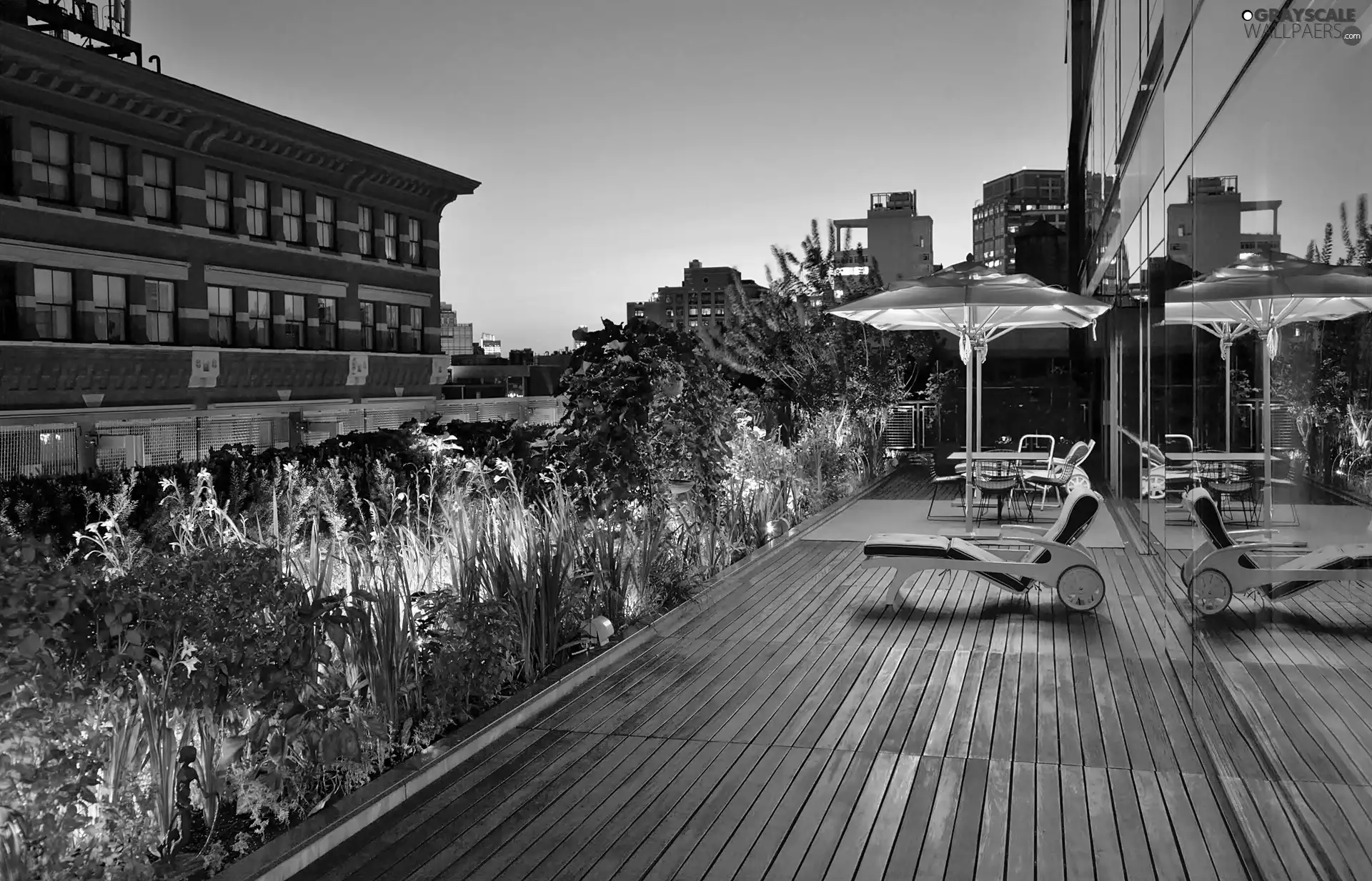 clouds, Manhattan, Garden, On Roof, terrace, skyscrapers