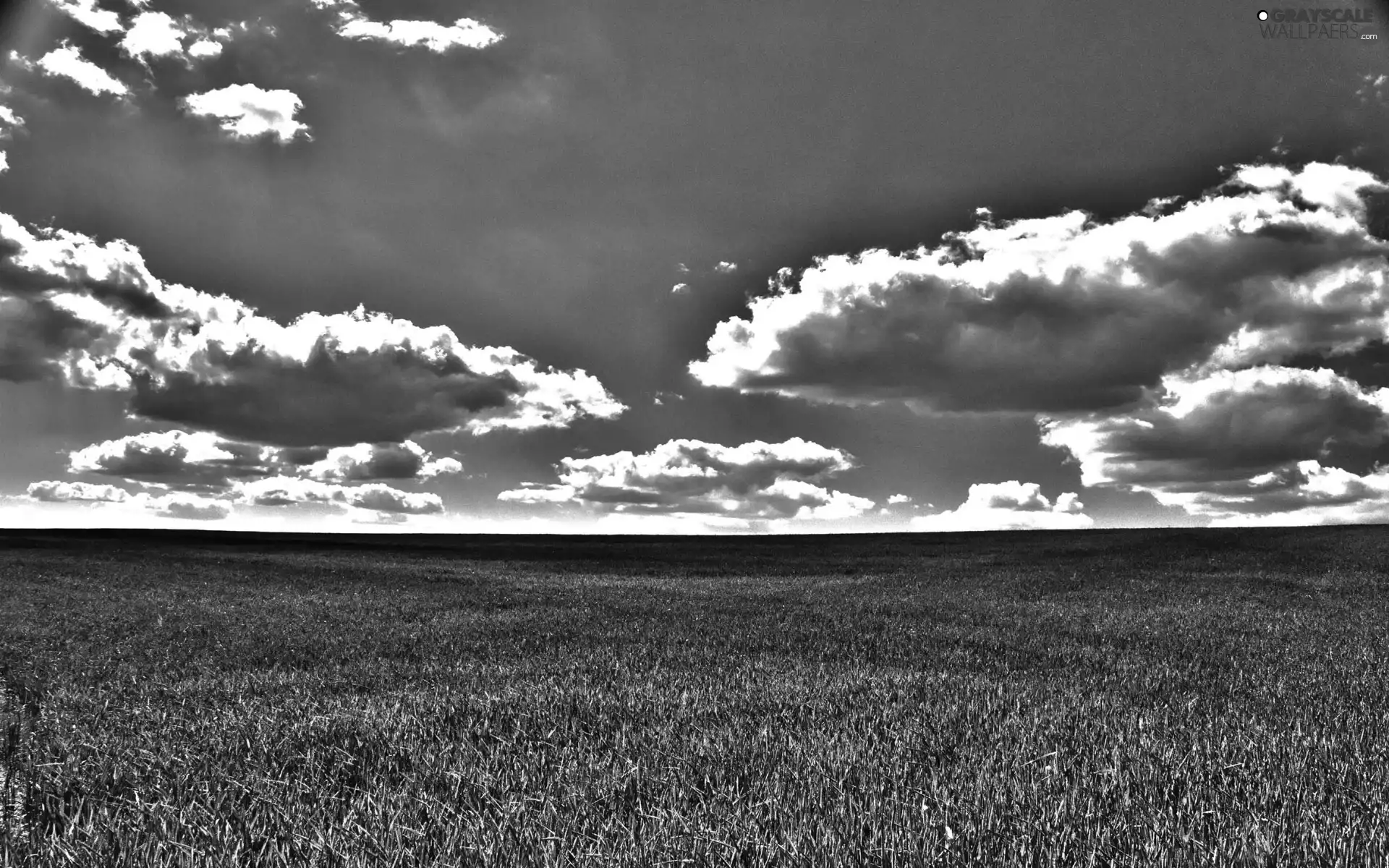 clouds, Field, grass