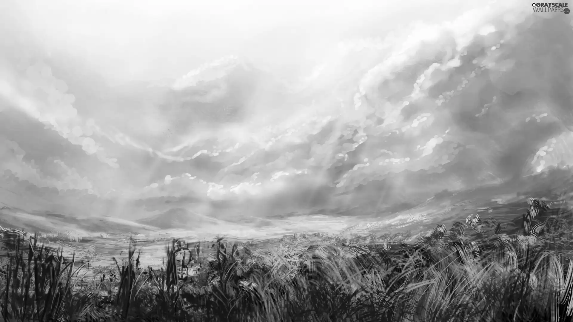 clouds, Meadow, grass