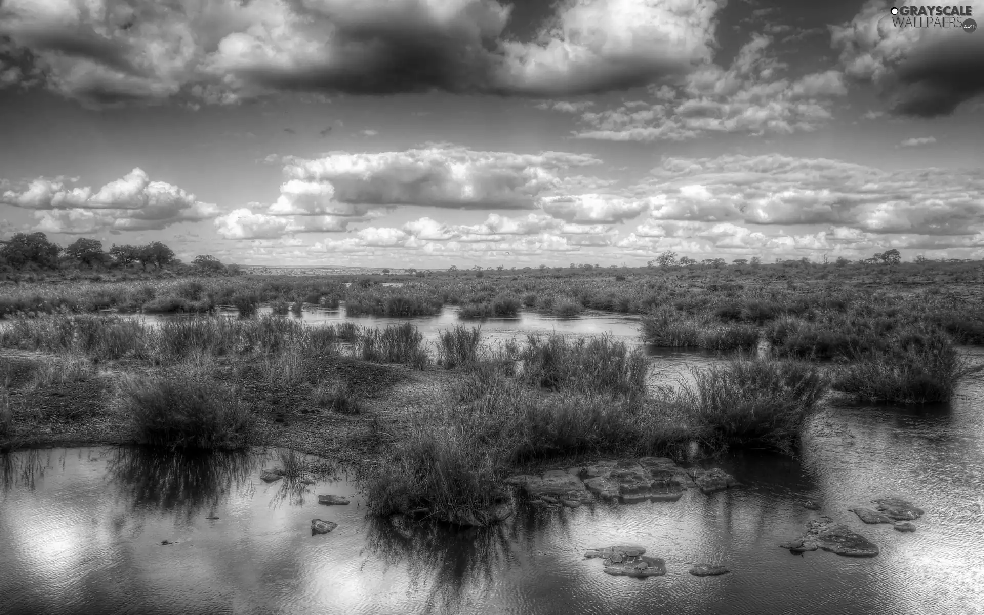 clouds, water, grass