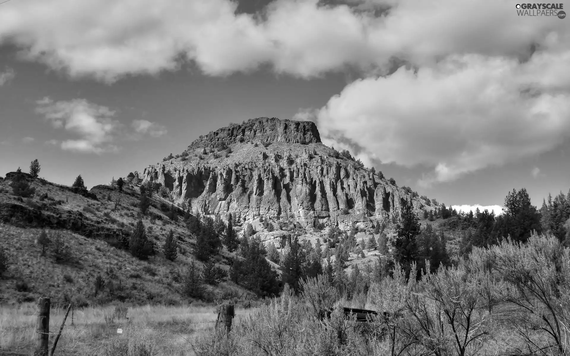 The Hills, VEGETATION, clouds, rocks