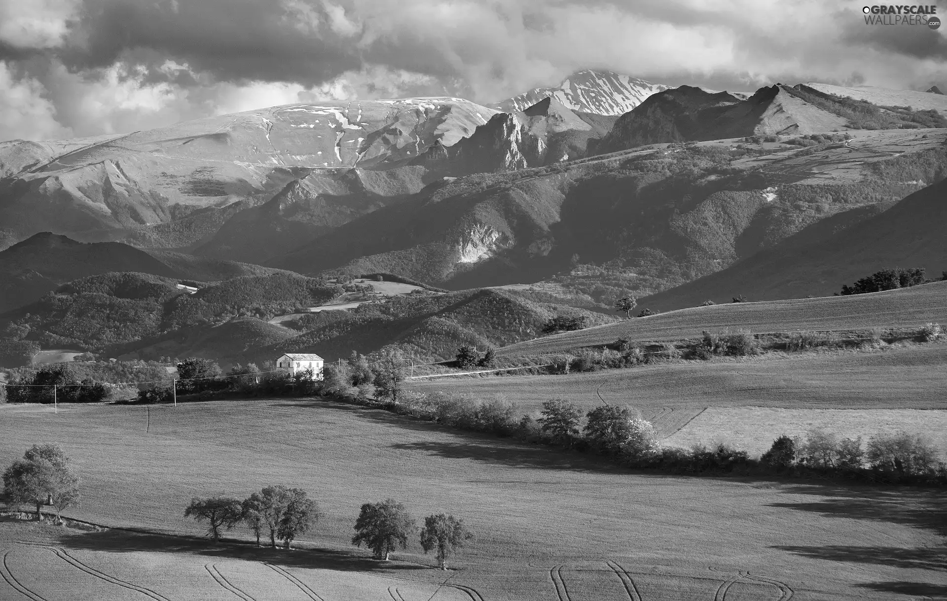 trees, field, clouds, house, viewes, Mountains