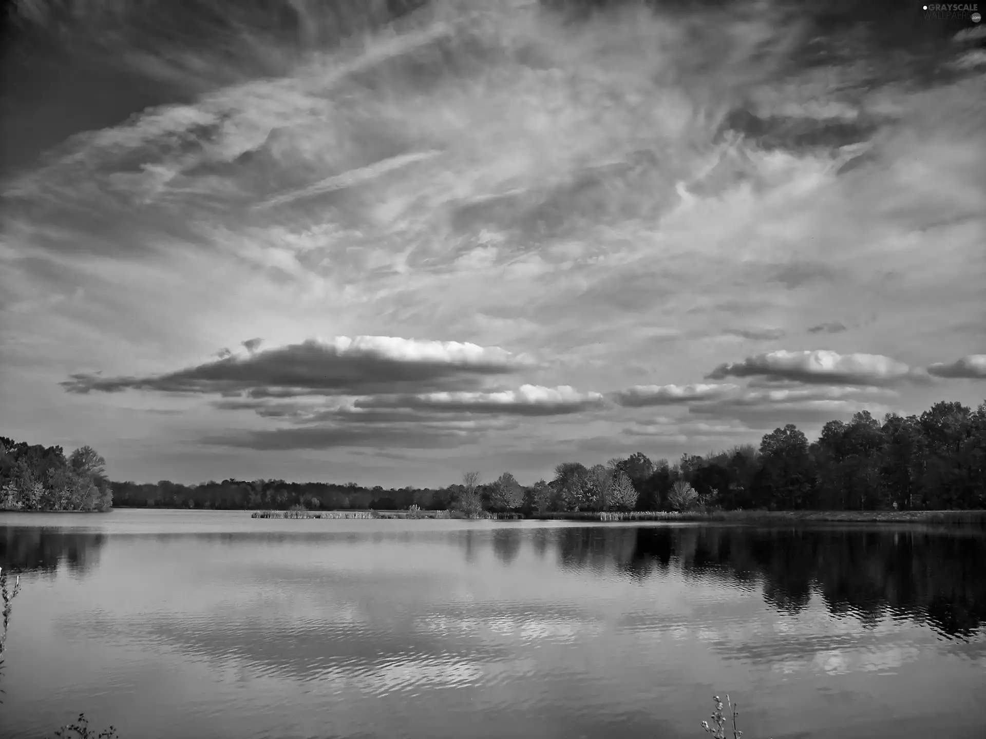 lake, edges, clouds, forested