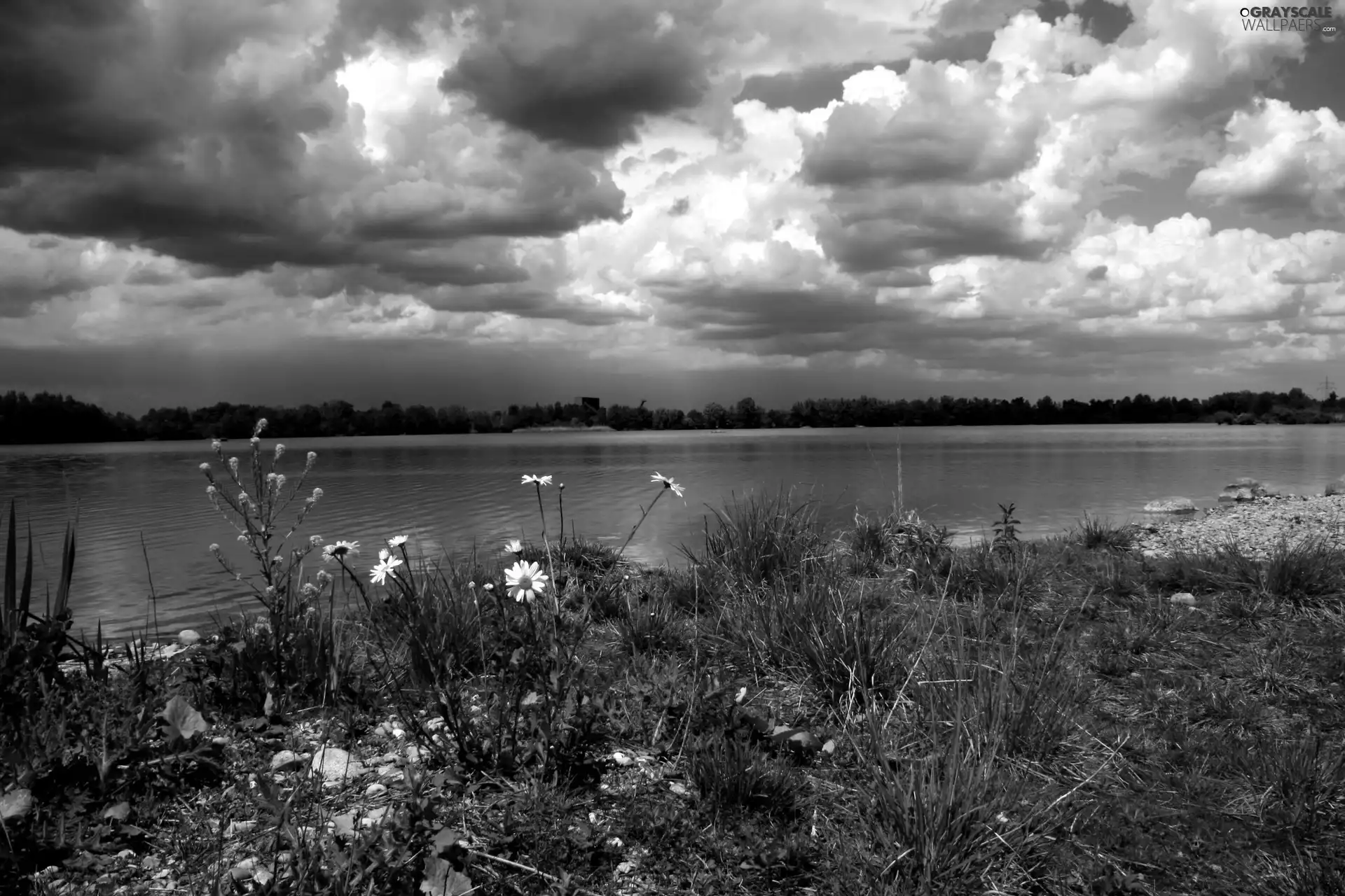 clouds, Meadow, lake