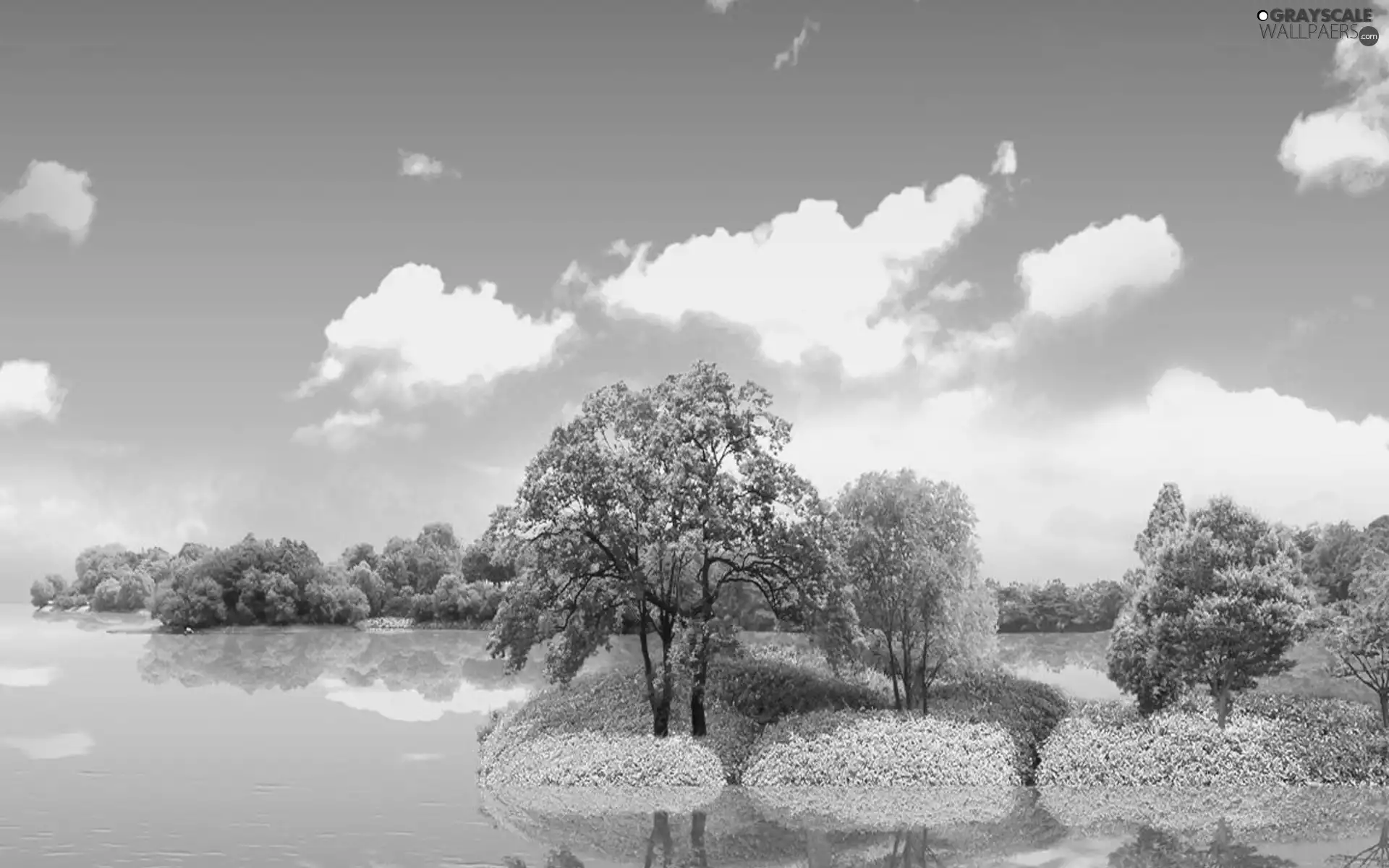 lake, viewes, clouds, trees