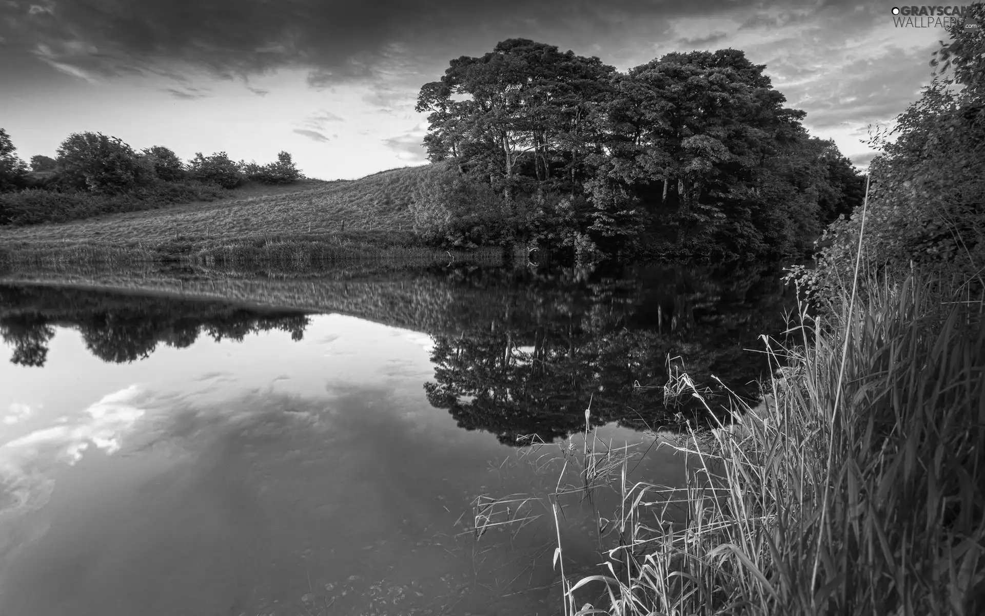 lake, viewes, clouds, trees