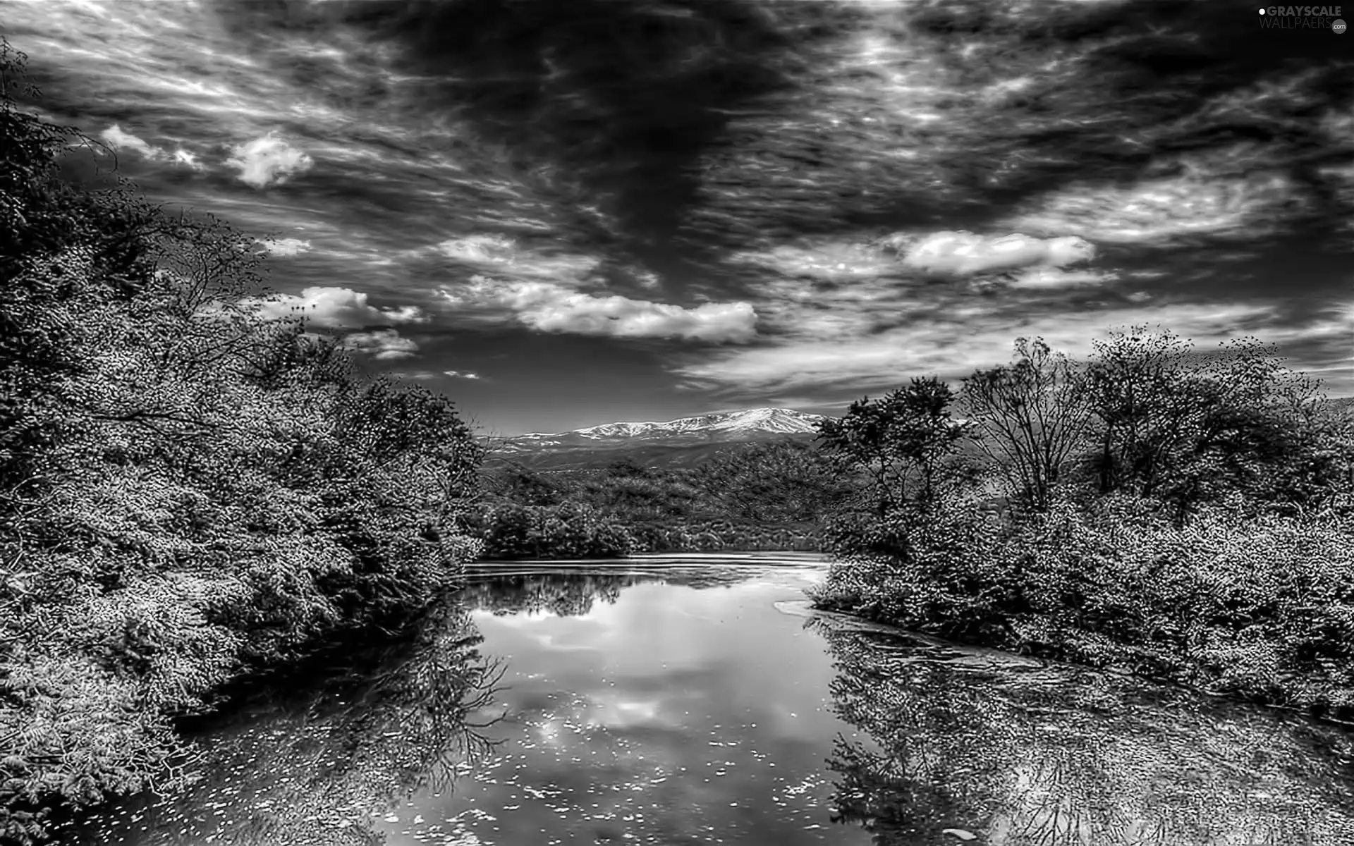 lakes, Bush, clouds, color