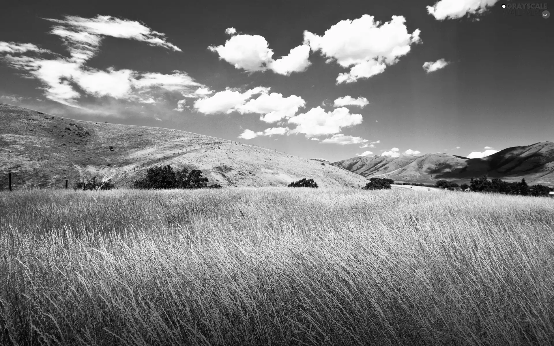 Meadow, clouds