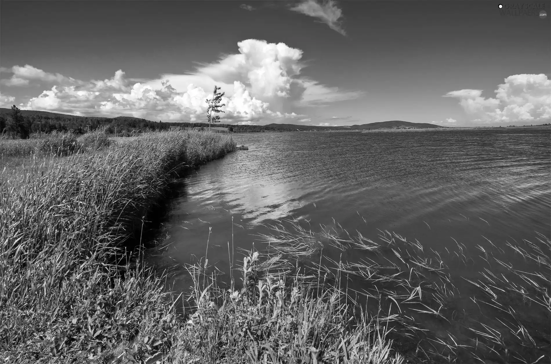 clouds, lake, Meadow