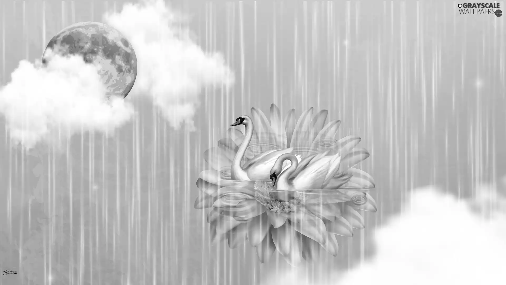 clouds, Colourfull Flowers, moon, graphics, Rain, Swan