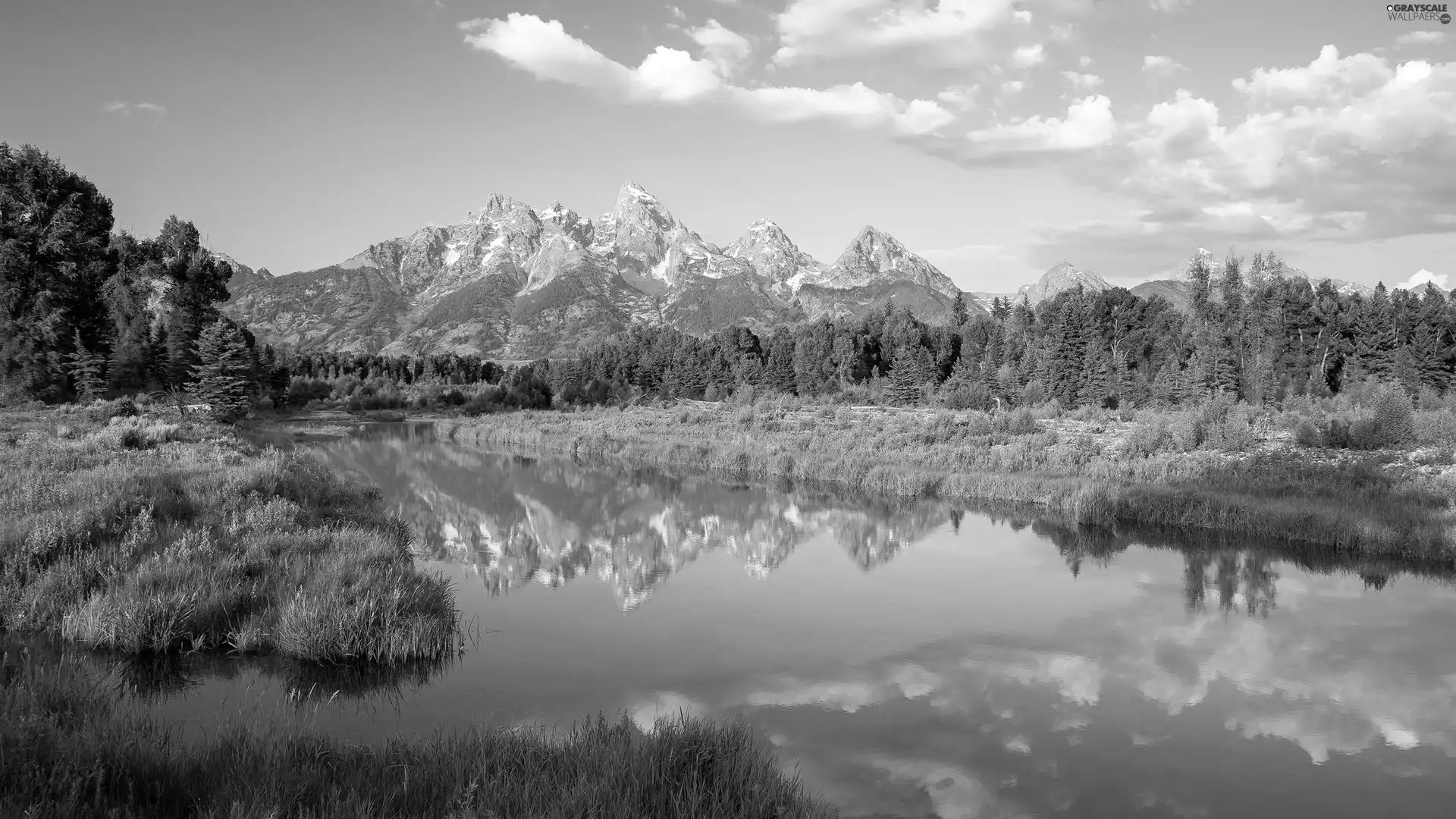 Mountains, forest, clouds, River