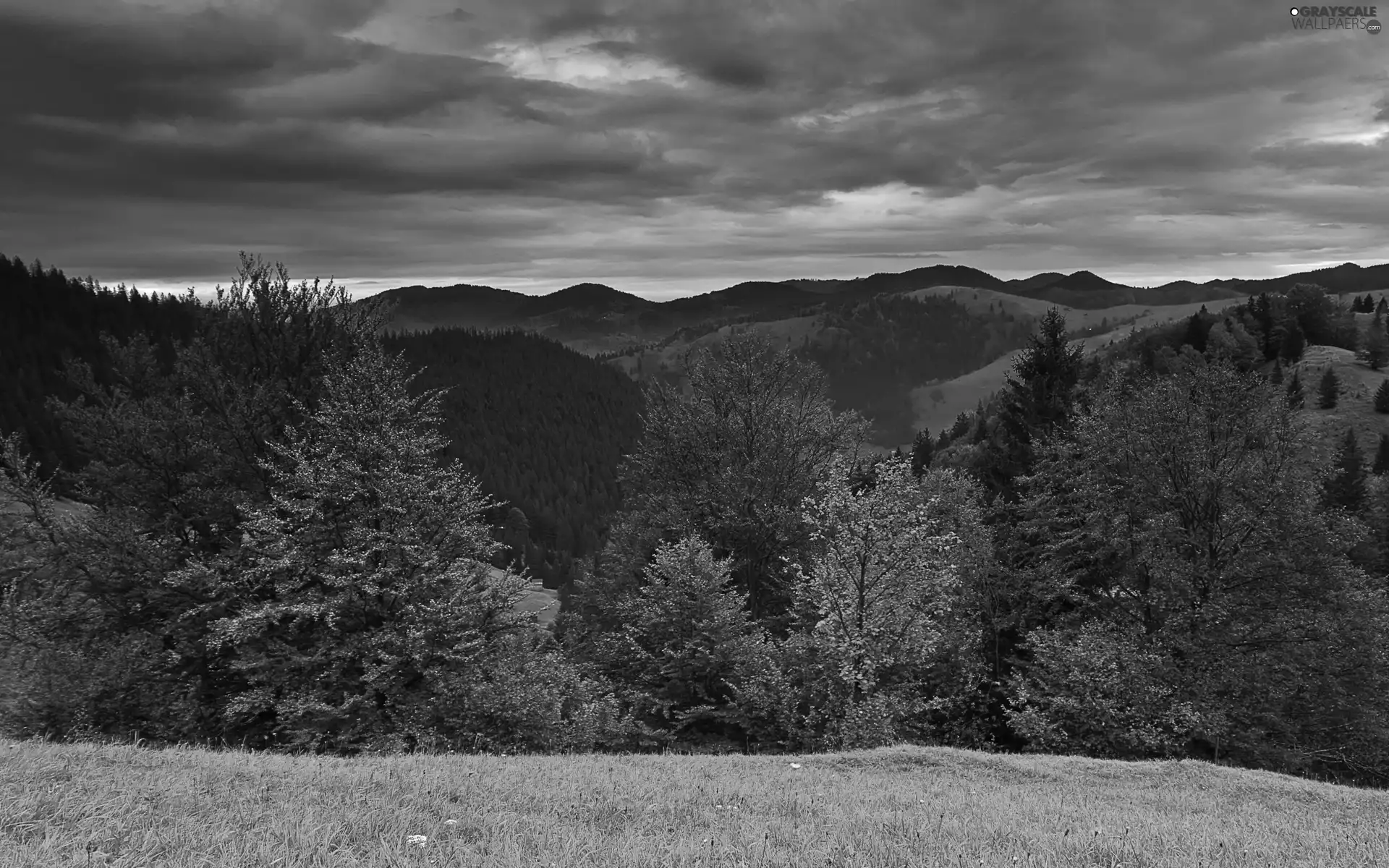 Mountains, Meadow, clouds, woods