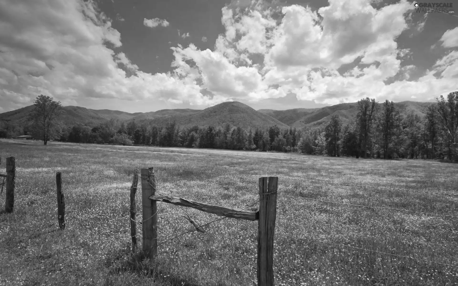 Mountains, medows, clouds, woods