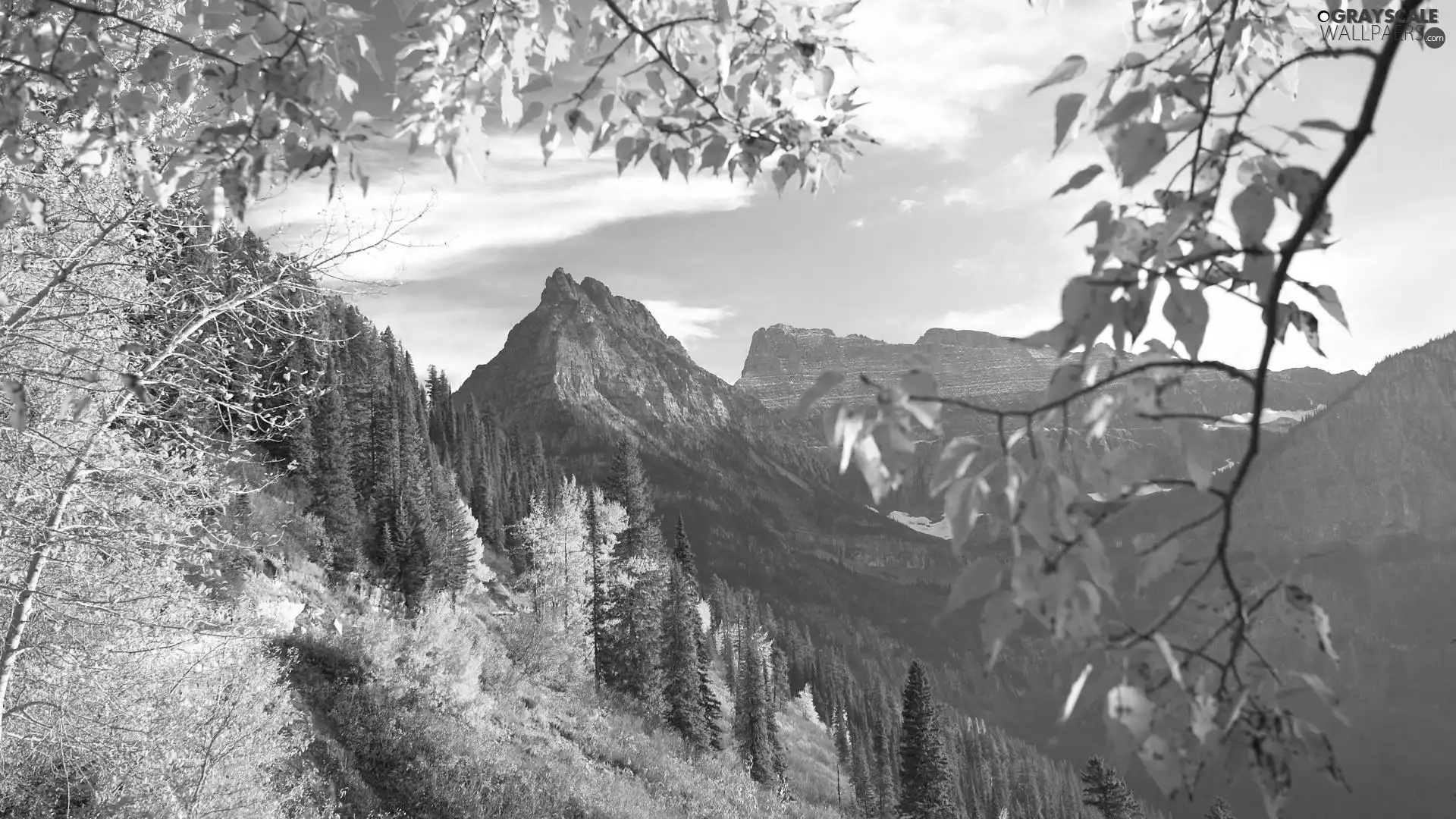 Mountains, viewes, clouds, trees