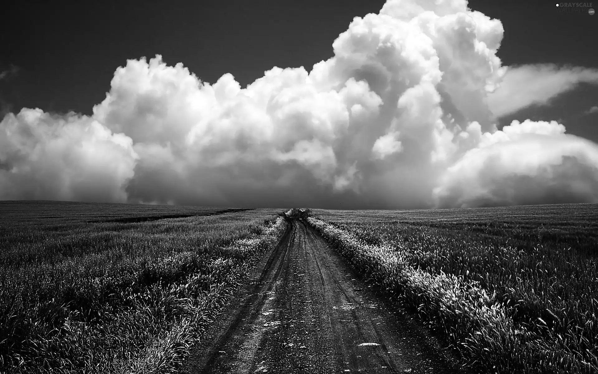 clouds, Field, Path