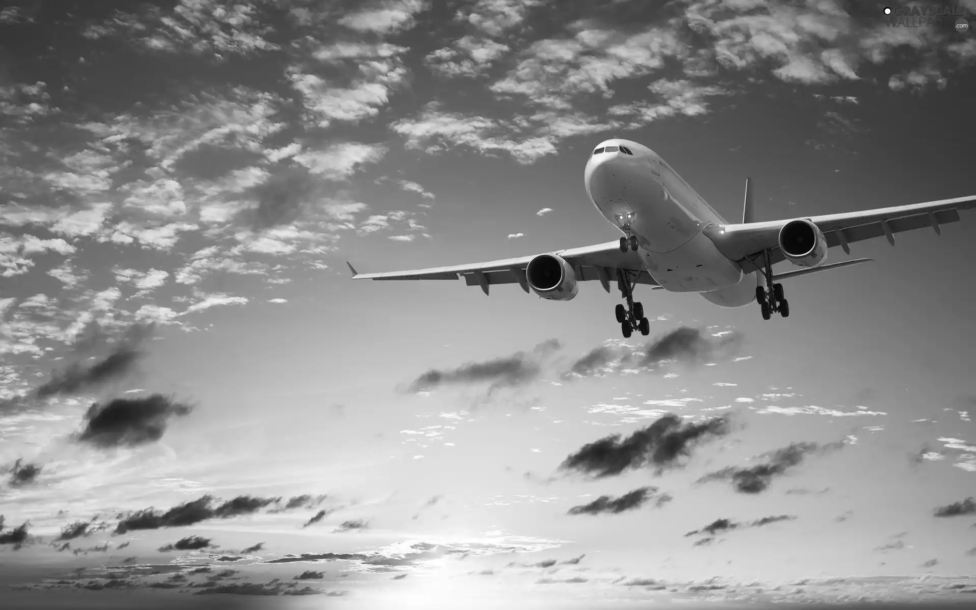 plane, Sky, clouds, flight