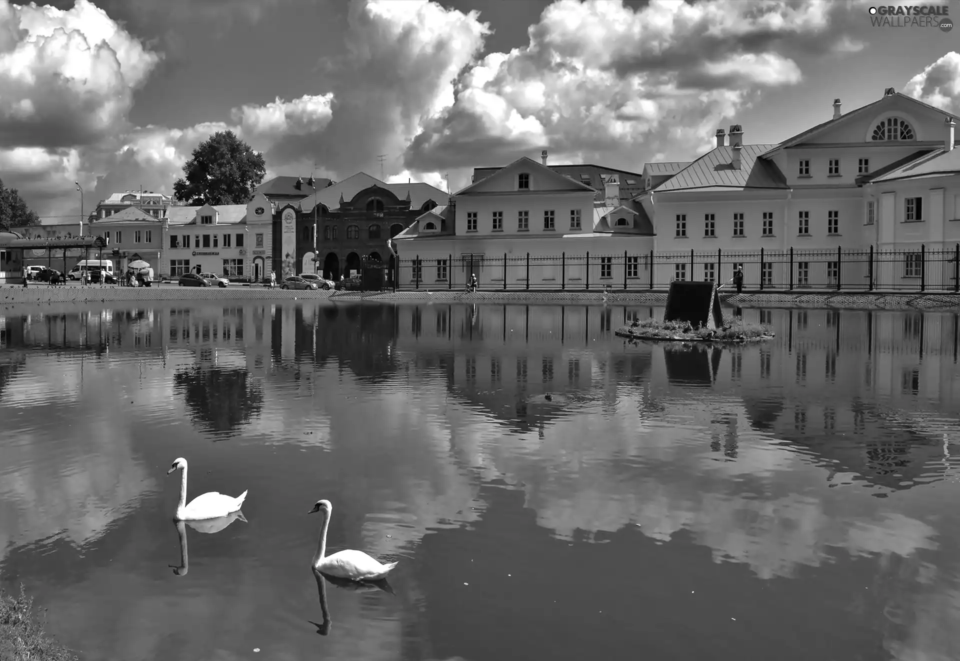 clouds, reflection, Swan, River, Houses