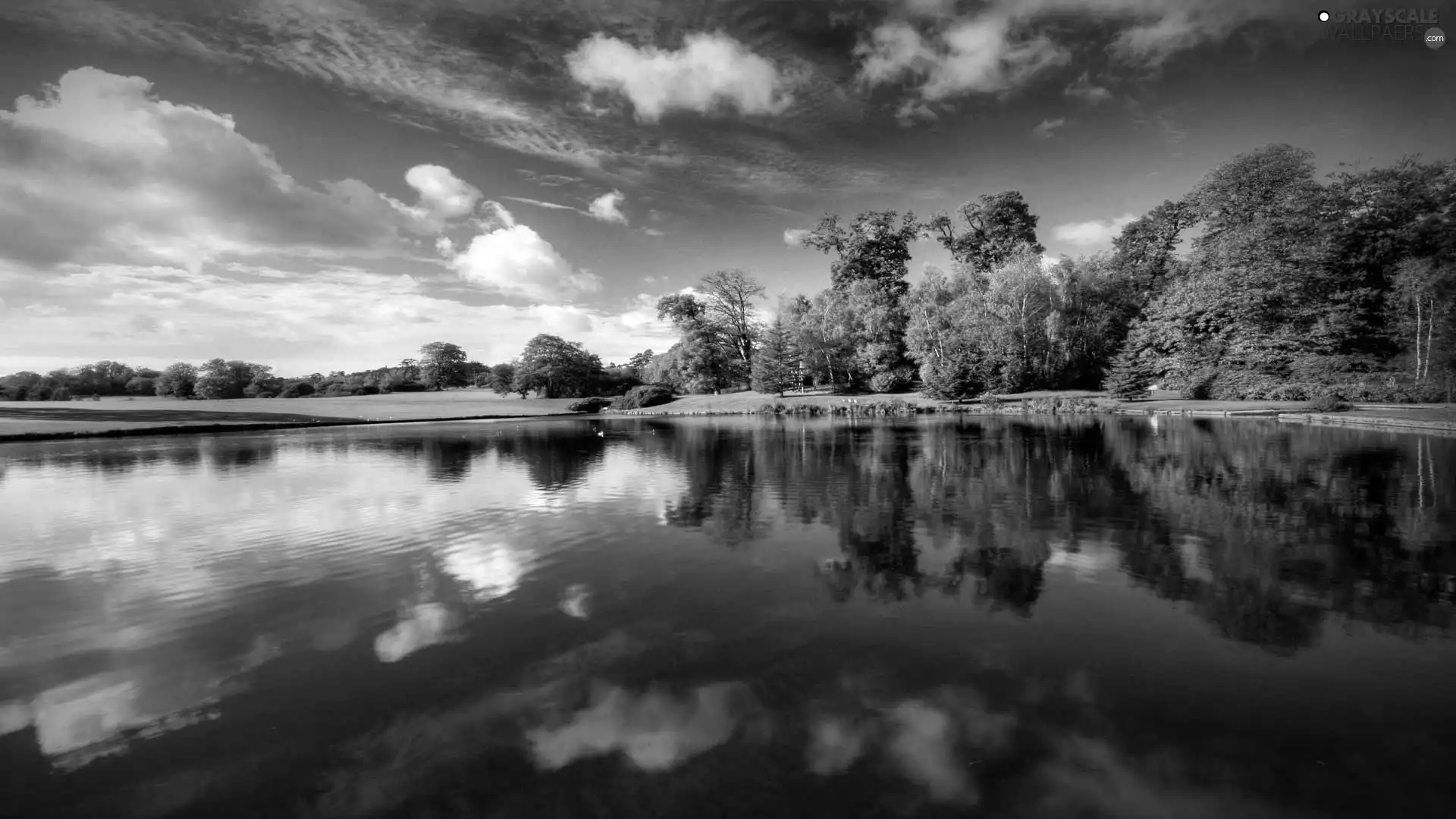 clouds, reflection, forest, Meadow, lake