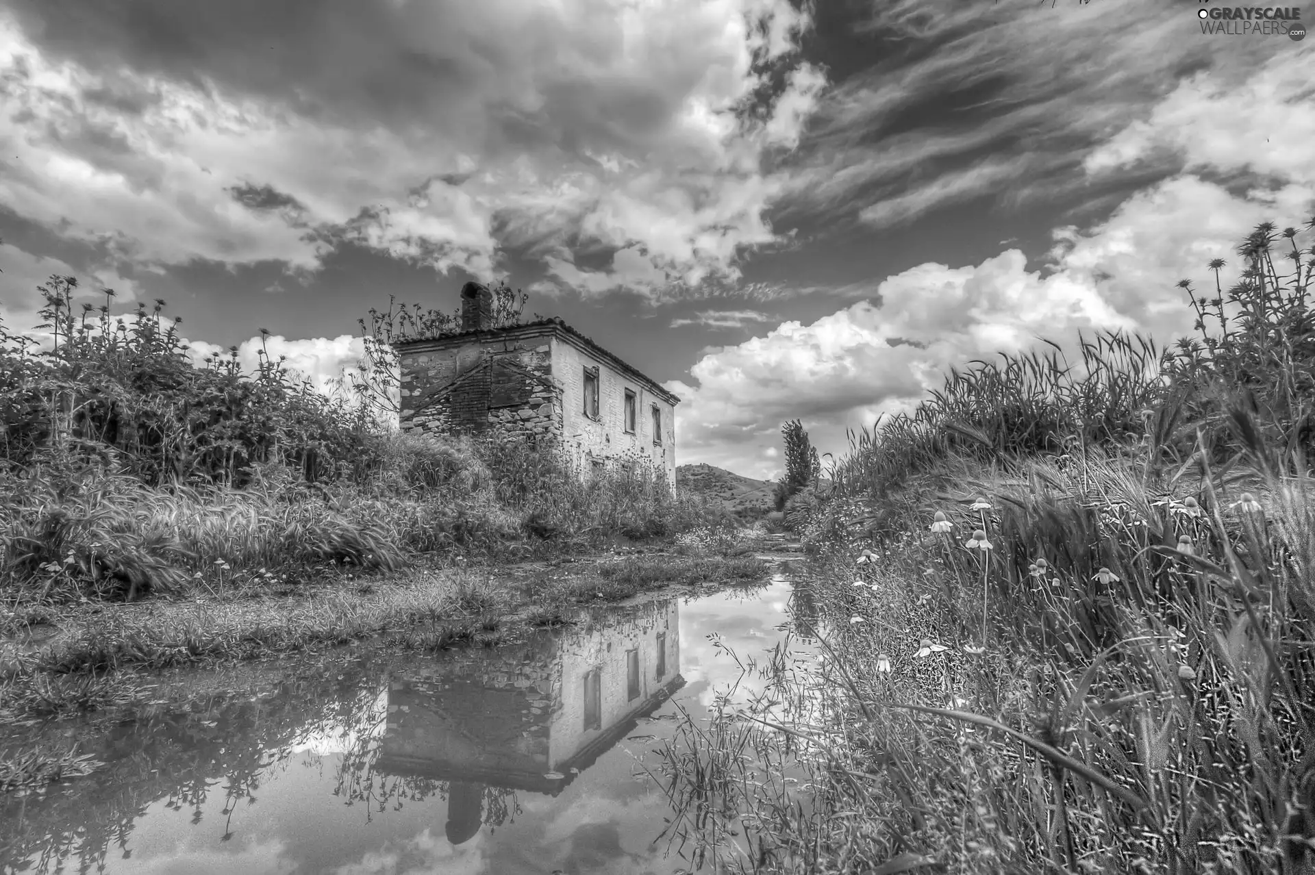 Plants, house, clouds, reflection, Sky, River