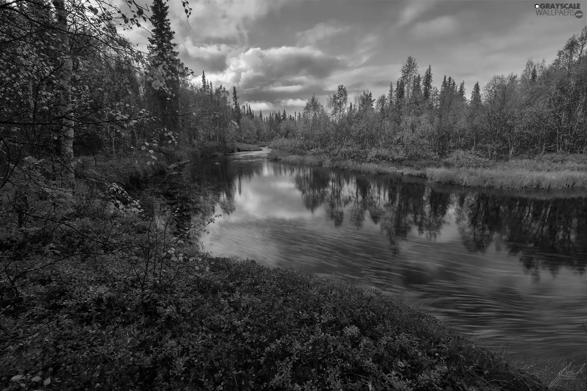trees, autumn, Bush, clouds, viewes, River
