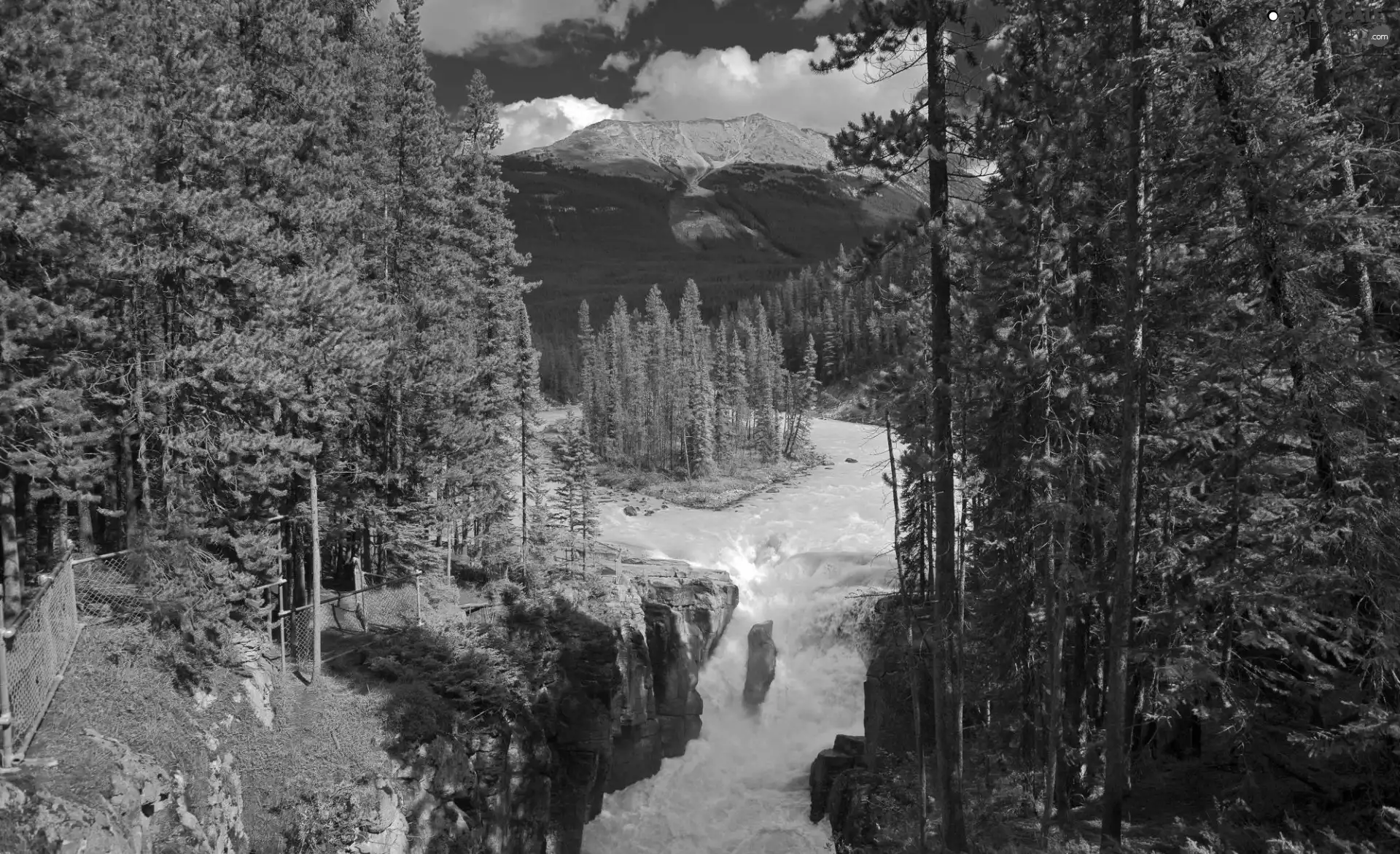 River, Mountains, clouds, woods