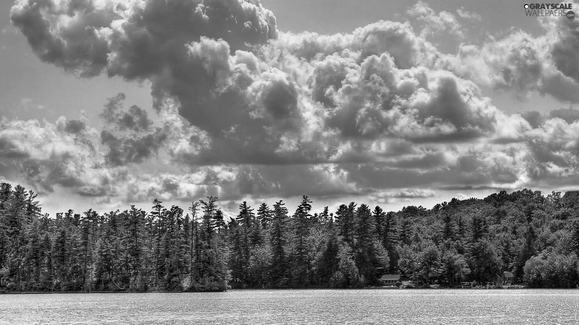 River, Sky, clouds, forest