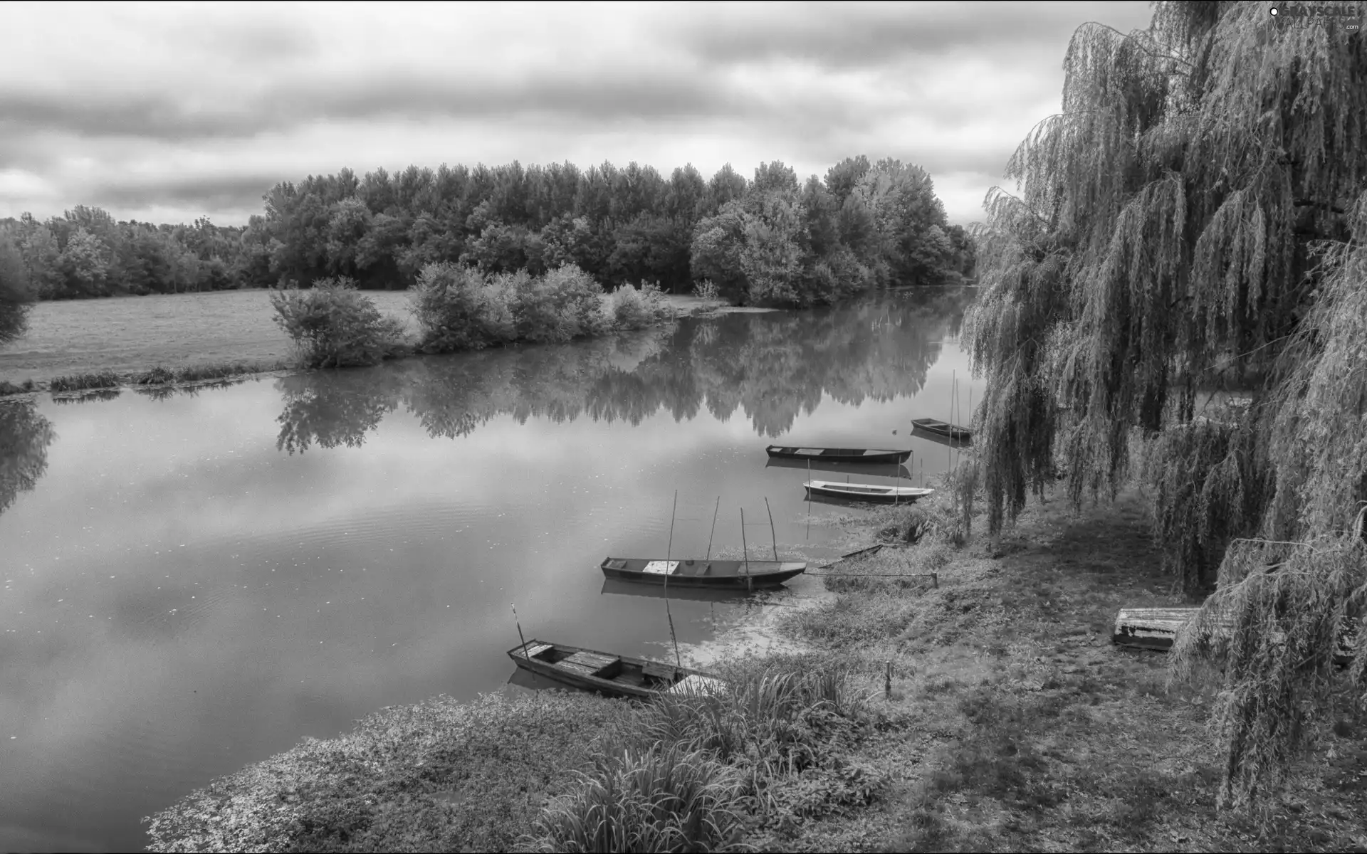 River, woods, clouds, boats