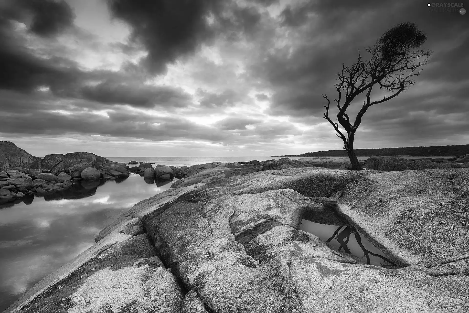 rocks, Sky, clouds, trees