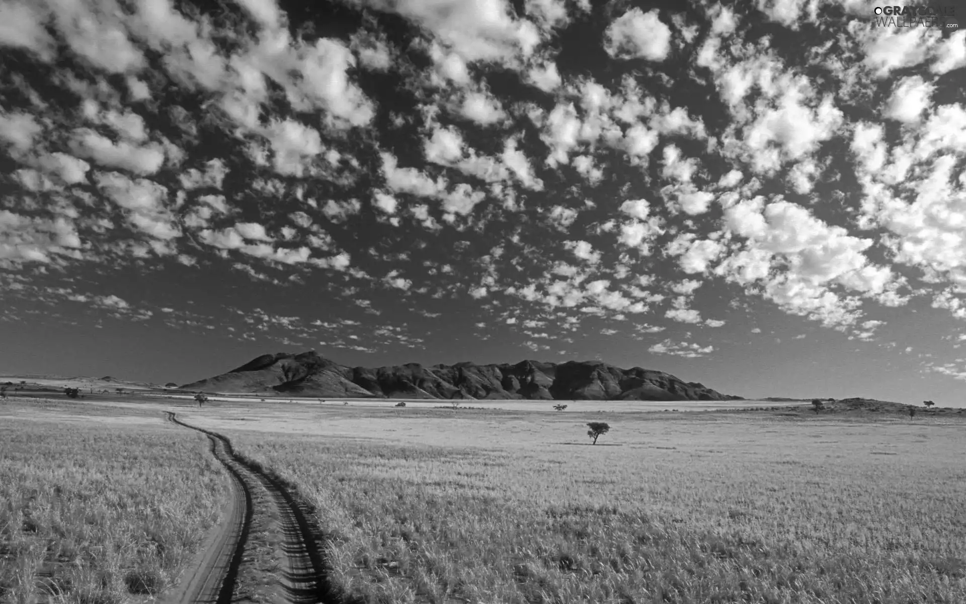 savanna, Mountains, clouds, Way