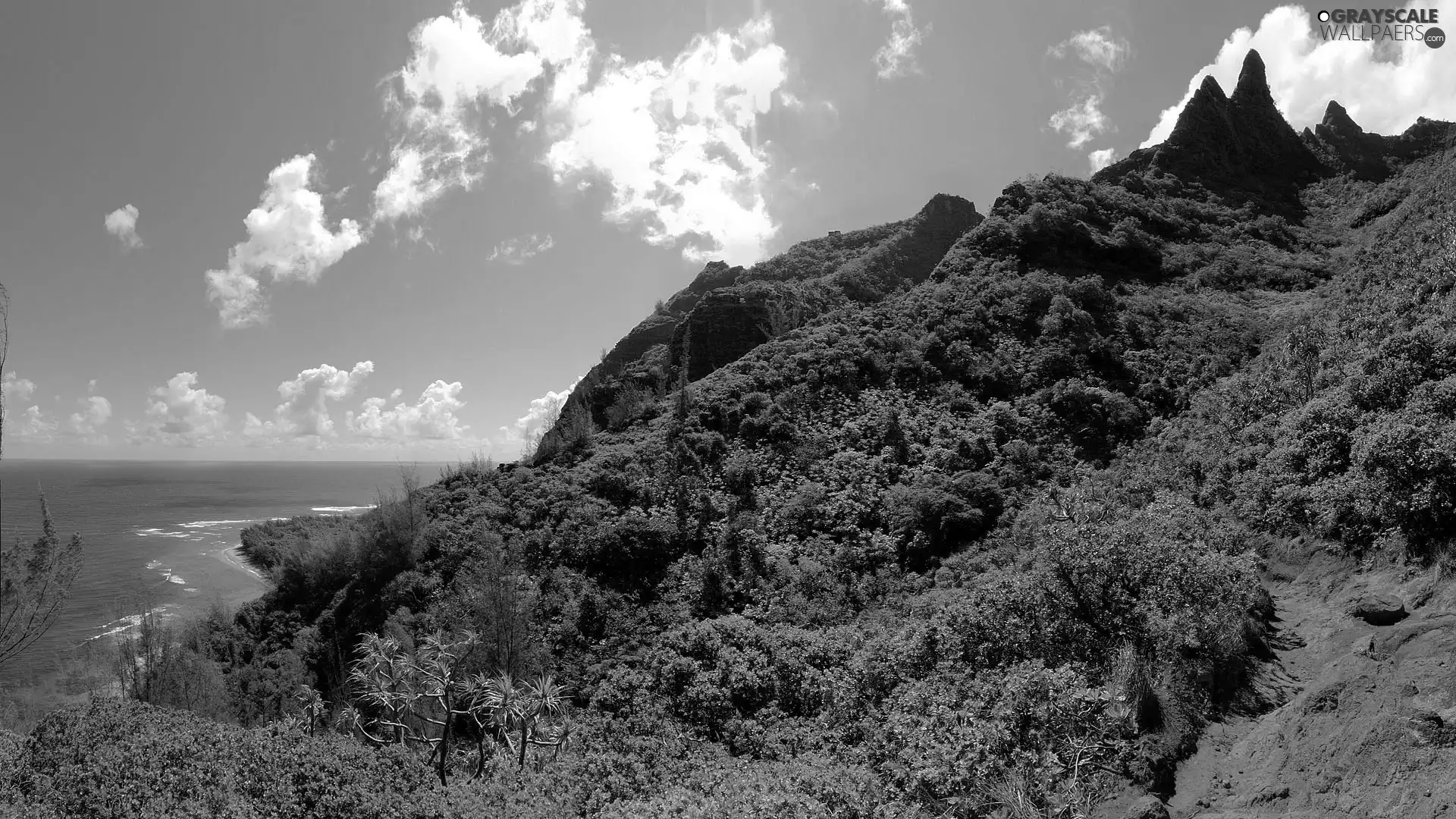 clouds, sea, trees, viewes, Mountains