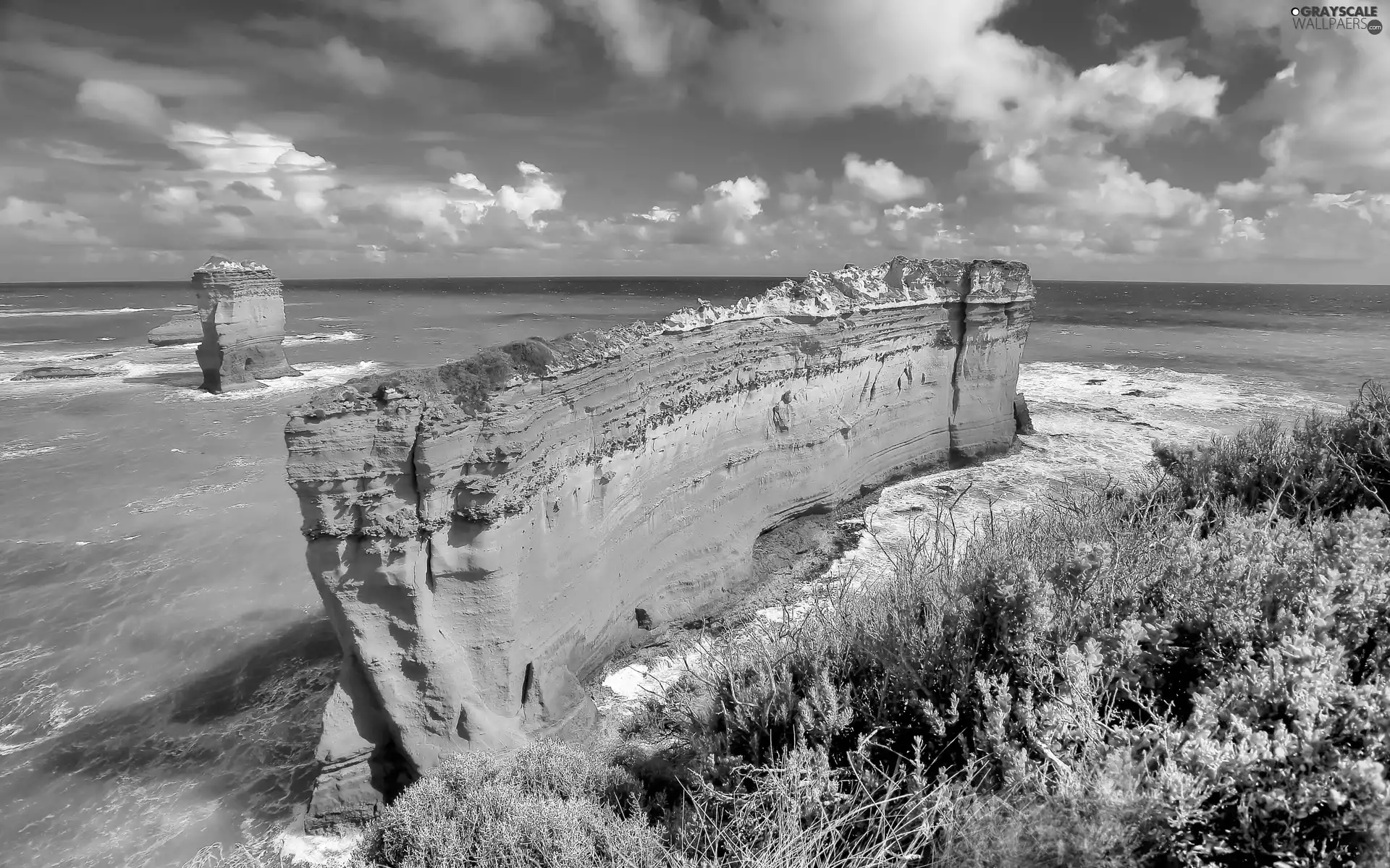 sea, Plants, clouds, rocks