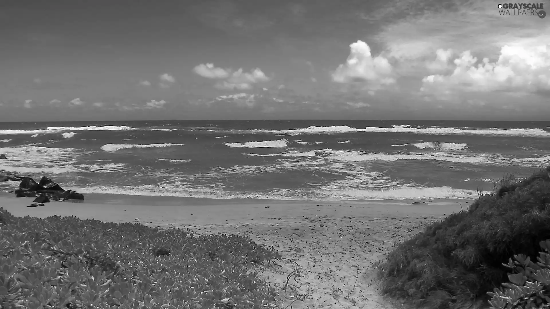 sea, Waves, clouds, Beaches