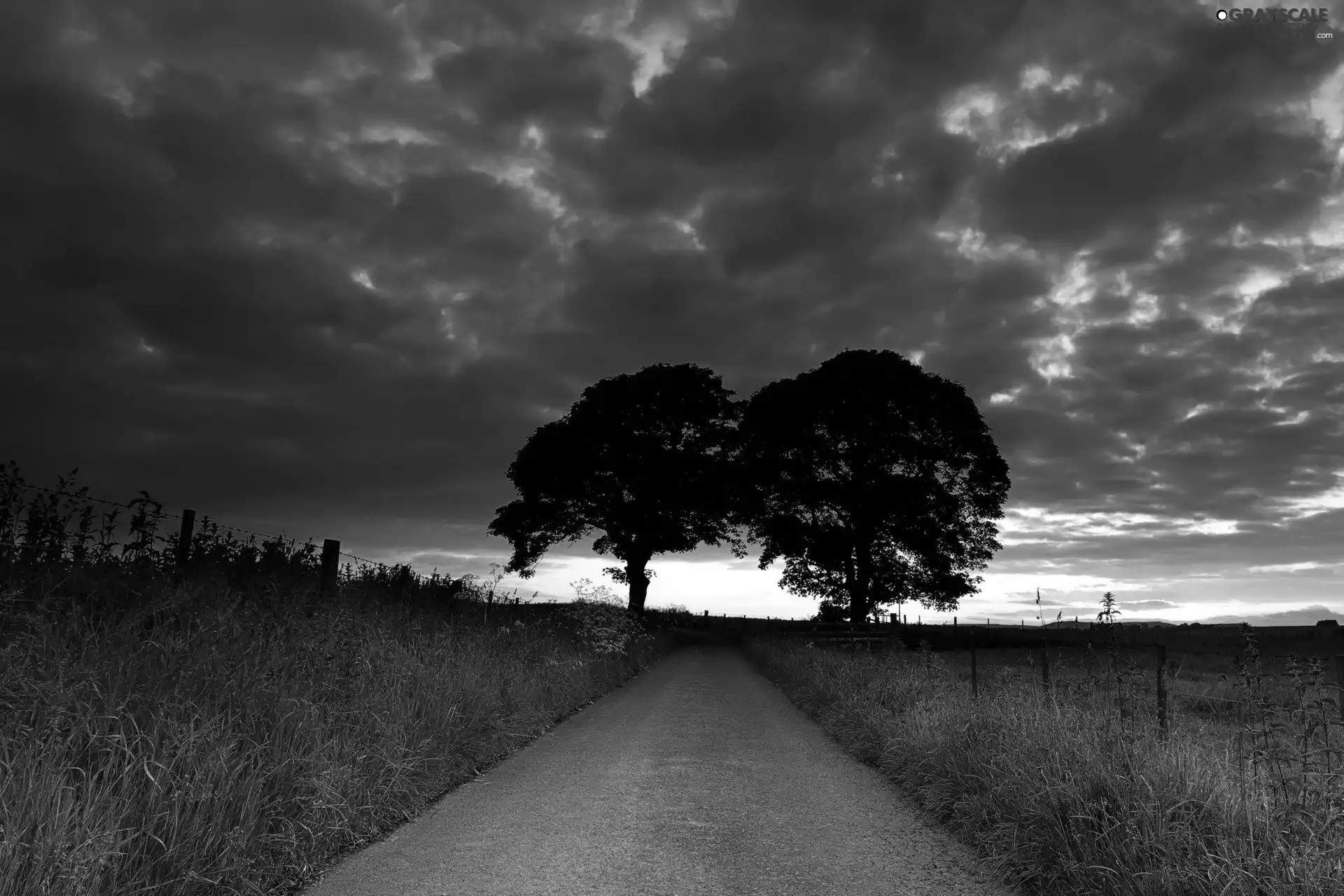 Clouds, Sky, viewes, Way, trees